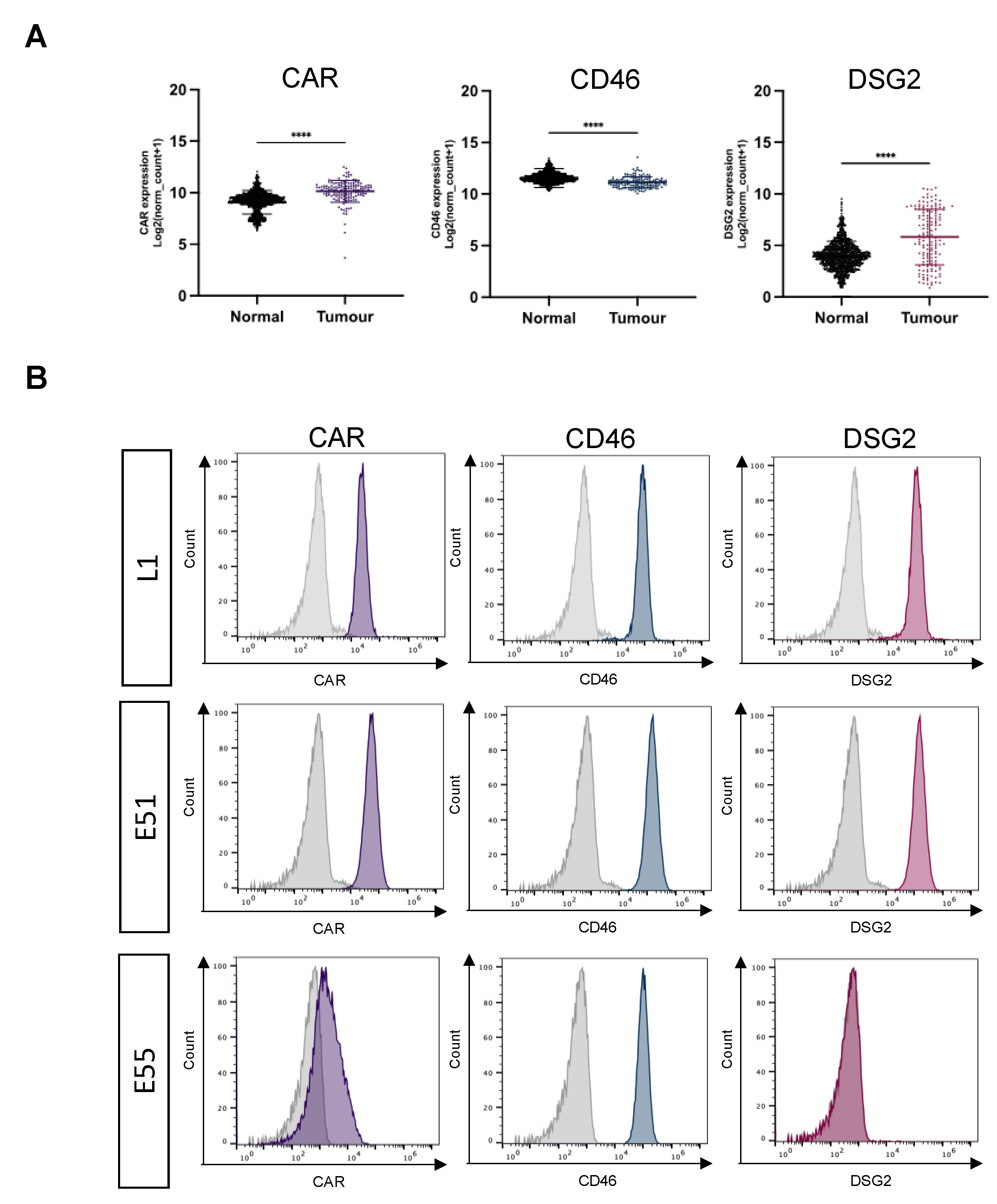 Preprints 70371 g001