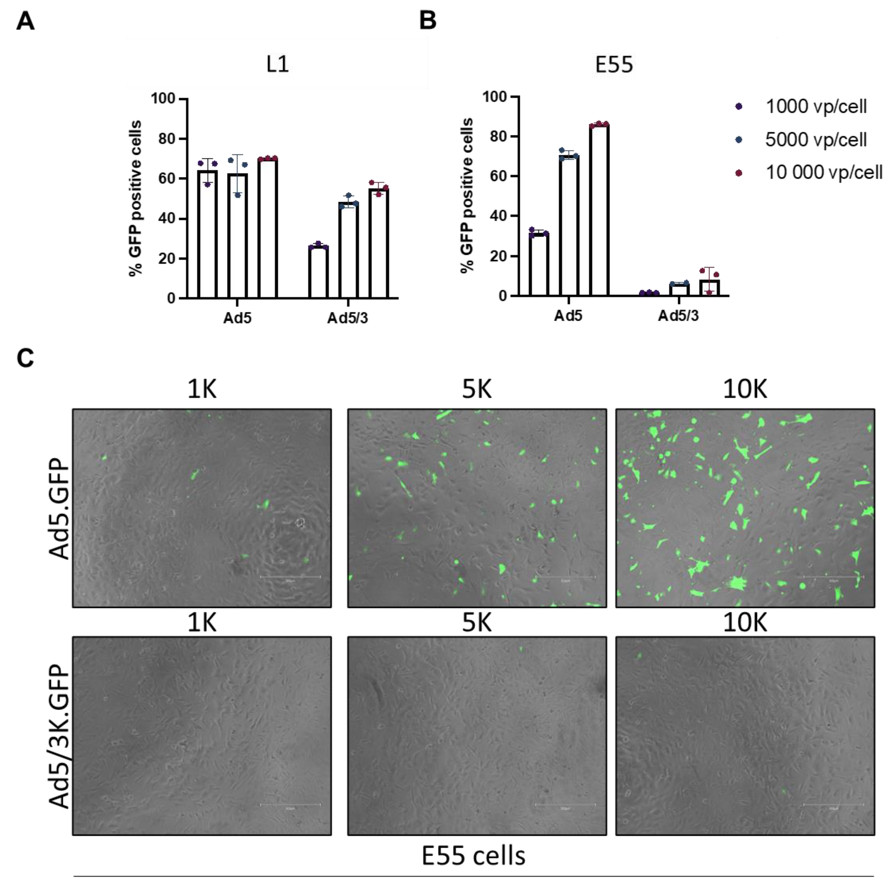 Preprints 70371 g003