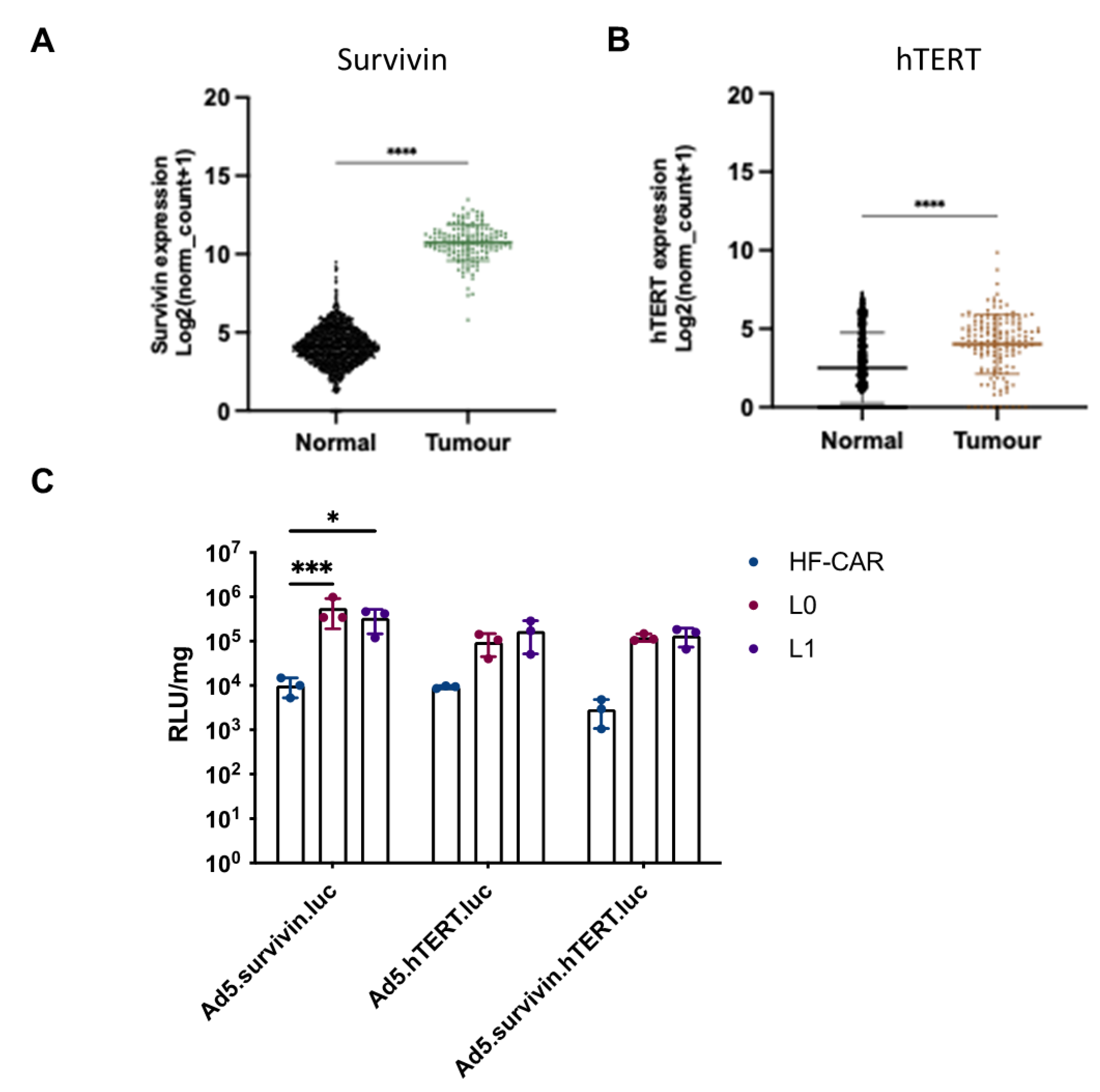 Preprints 70371 g004