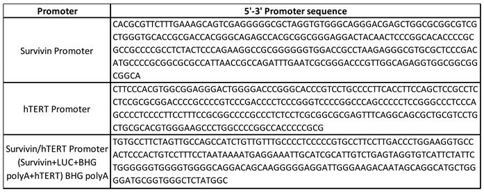 Preprints 70371 i001