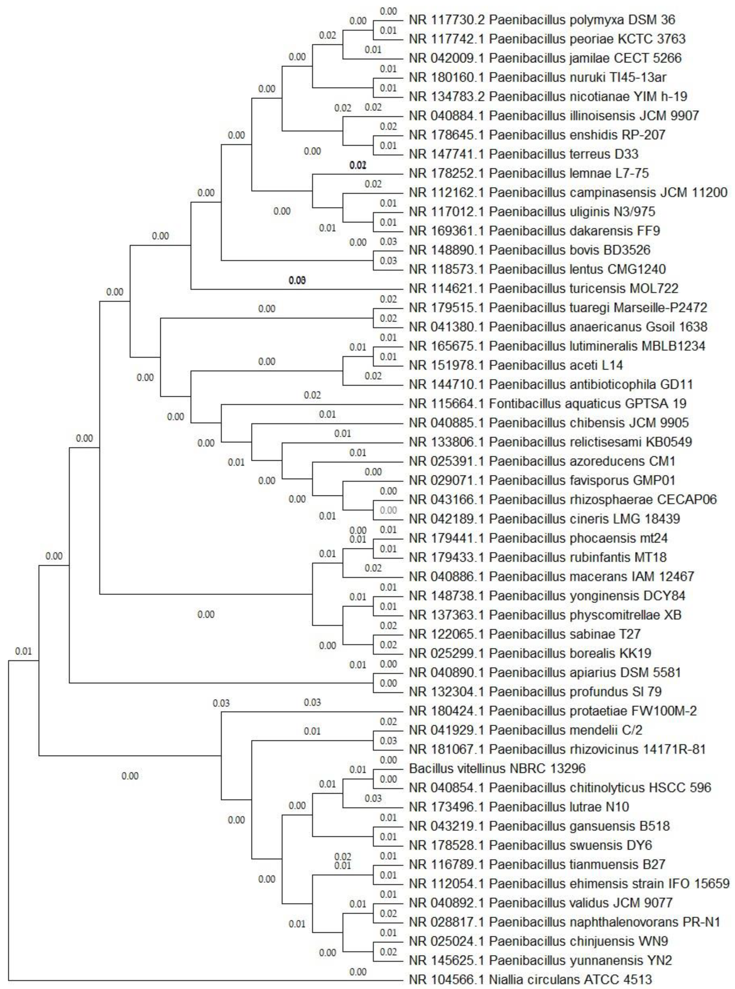 Preprints 115238 g001