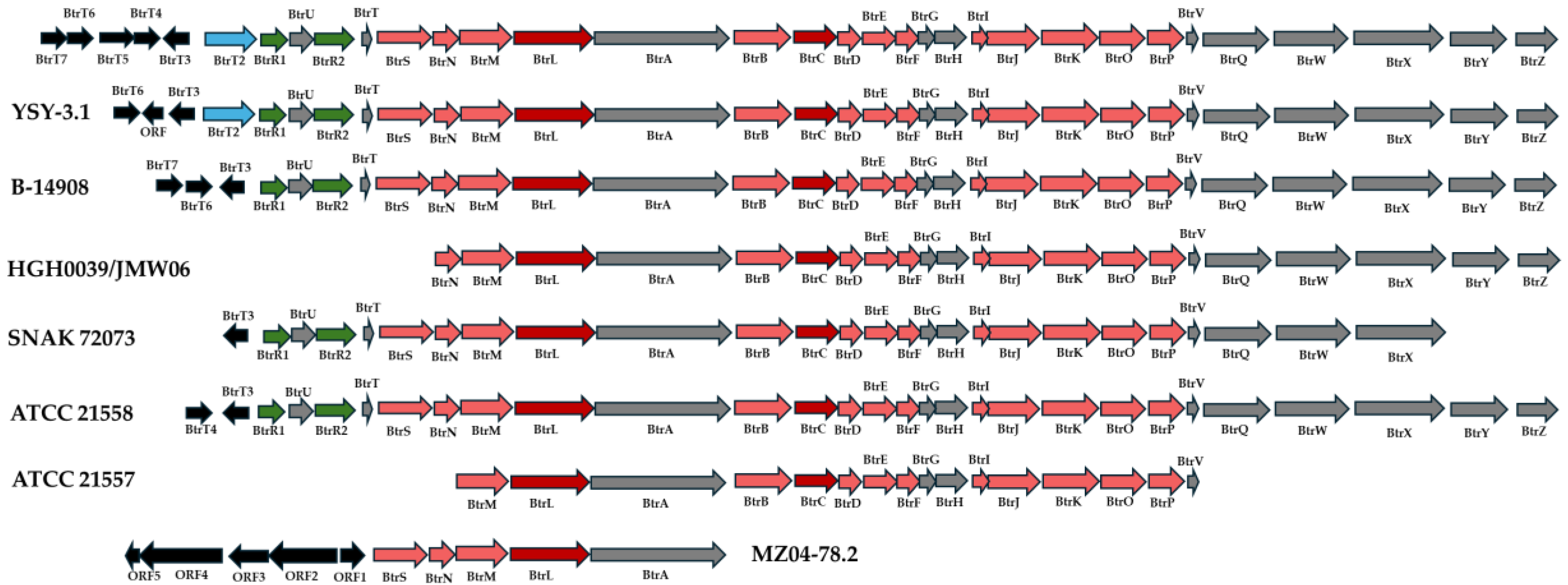 Preprints 115238 g002