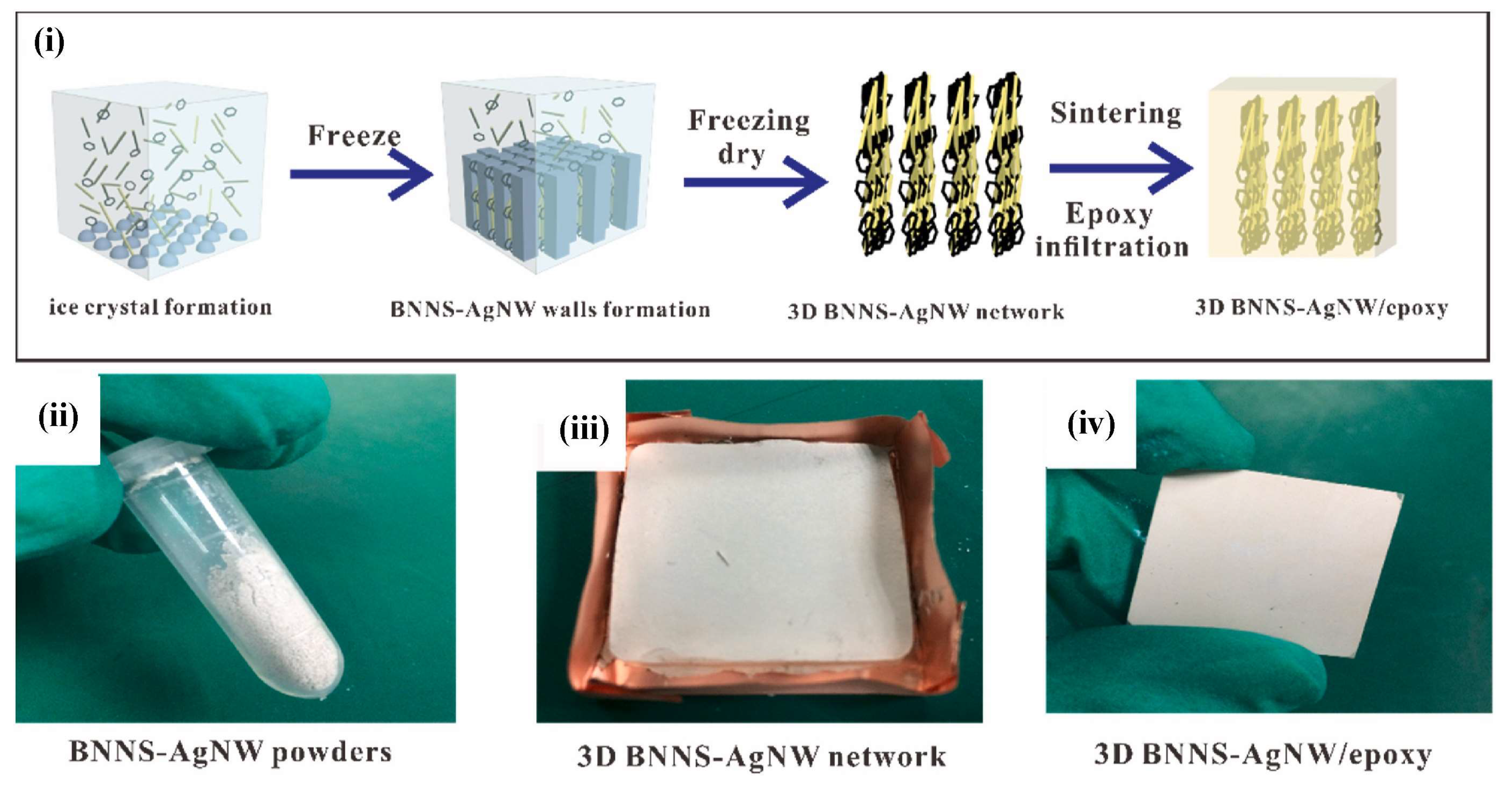 Preprints 86341 g005a