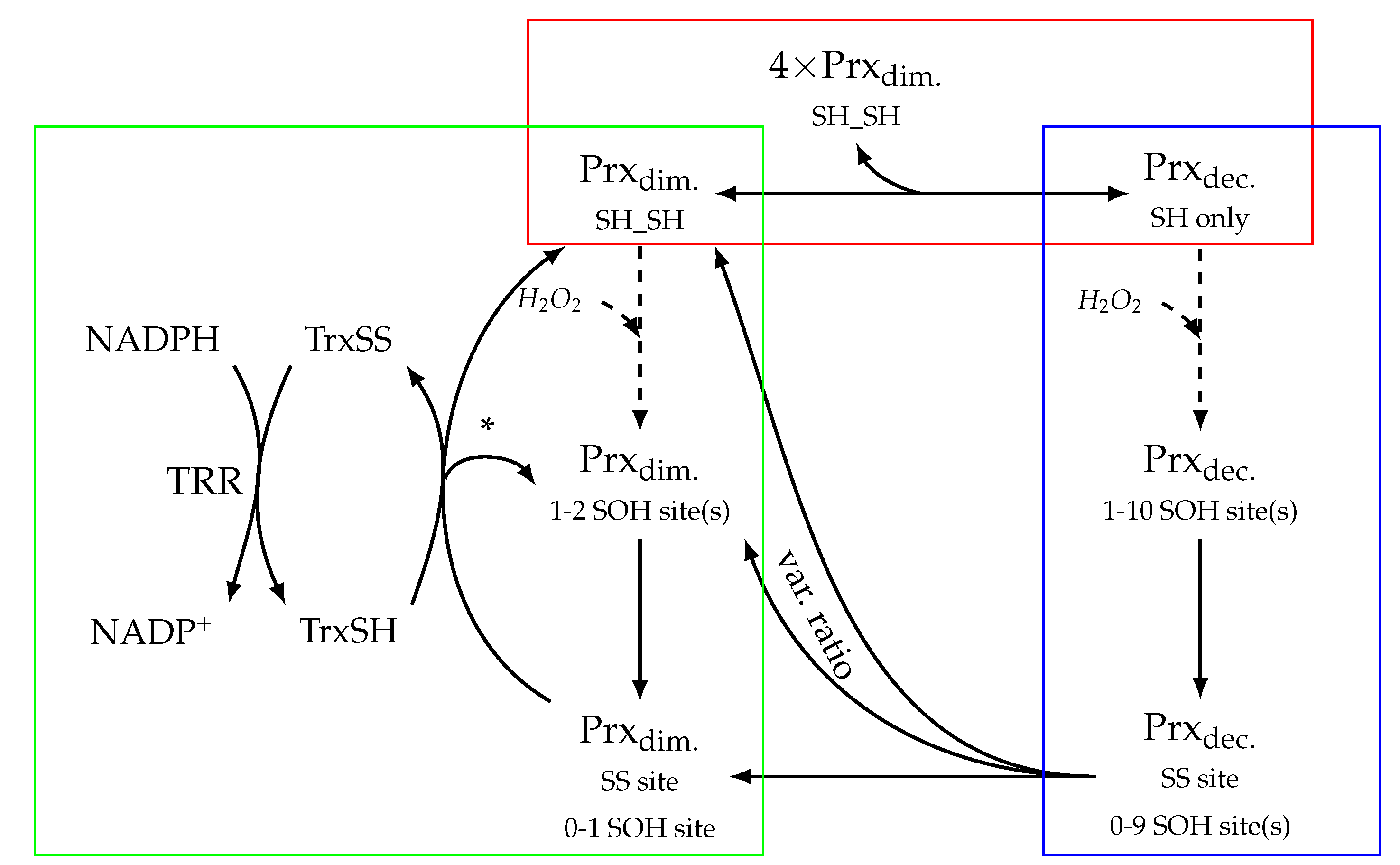 Preprints 77671 g001