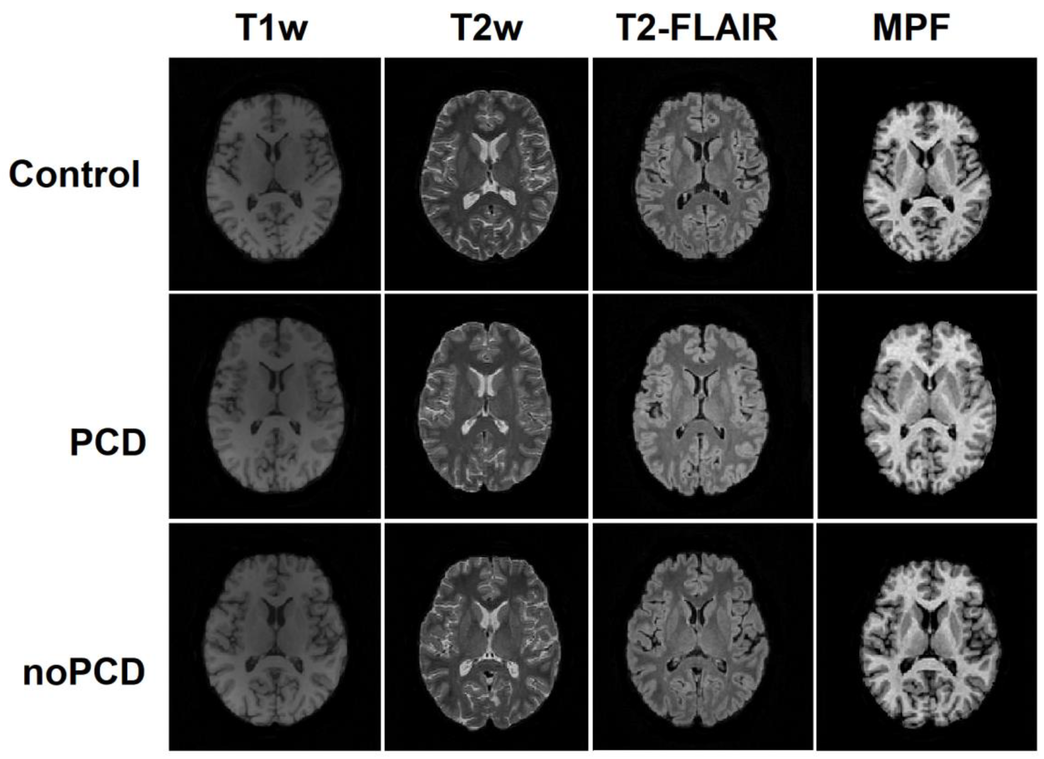 Preprints 92882 g002