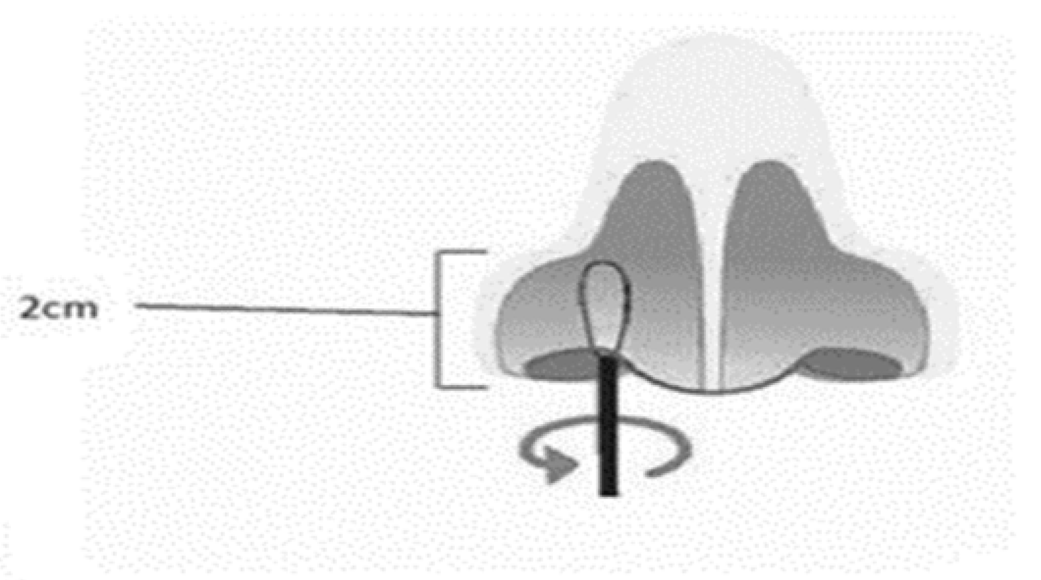 Preprints 80755 g002