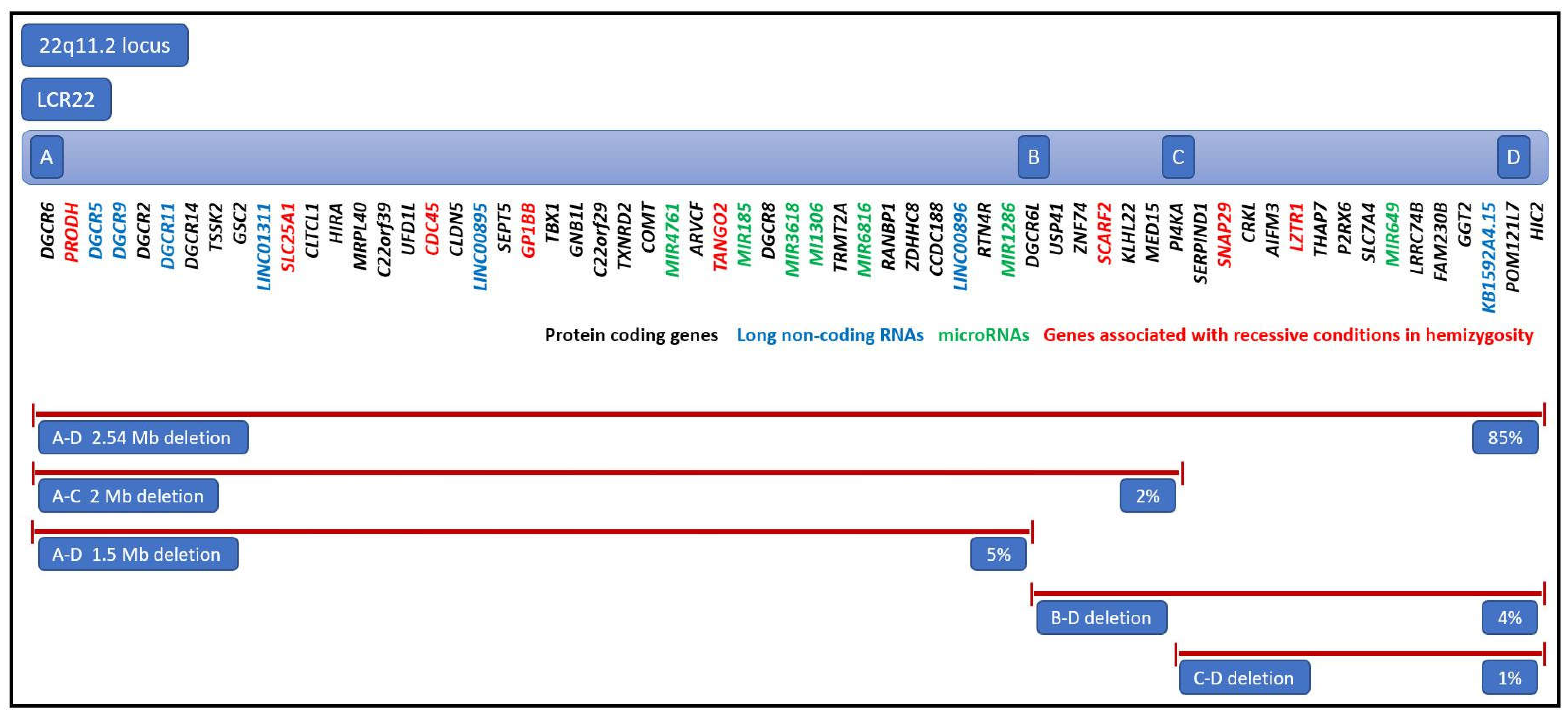 Preprints 71412 g001