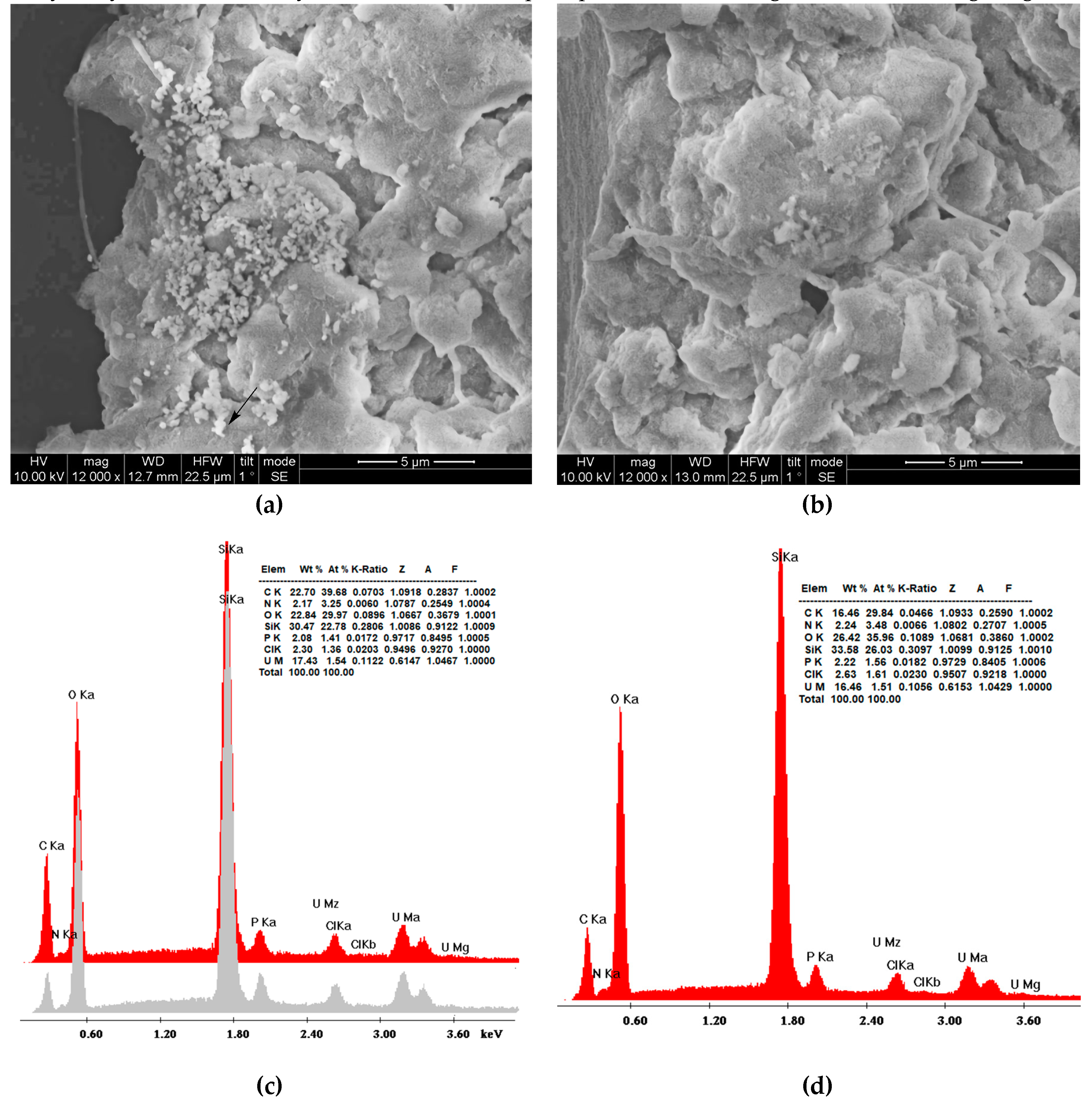 Preprints 72211 g007