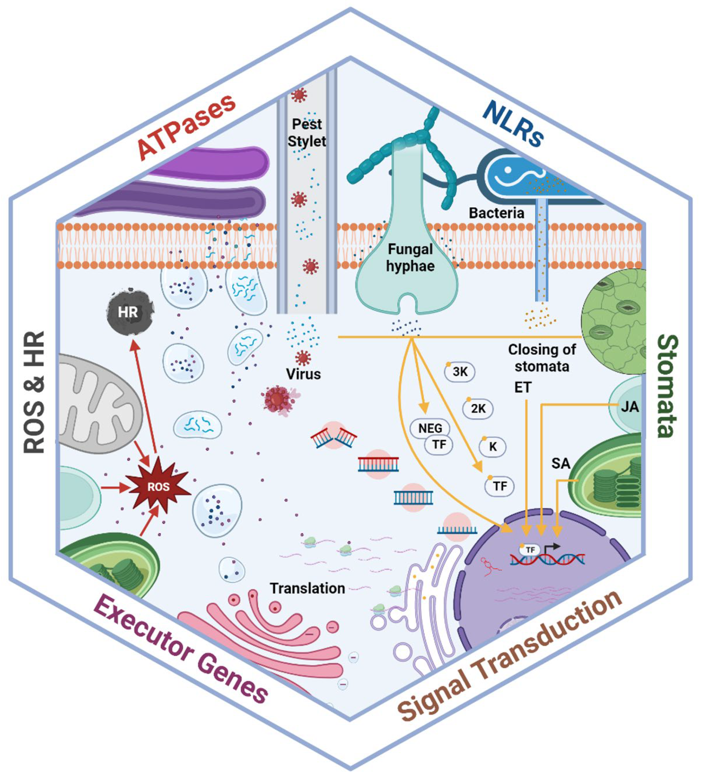 Preprints 106248 g001