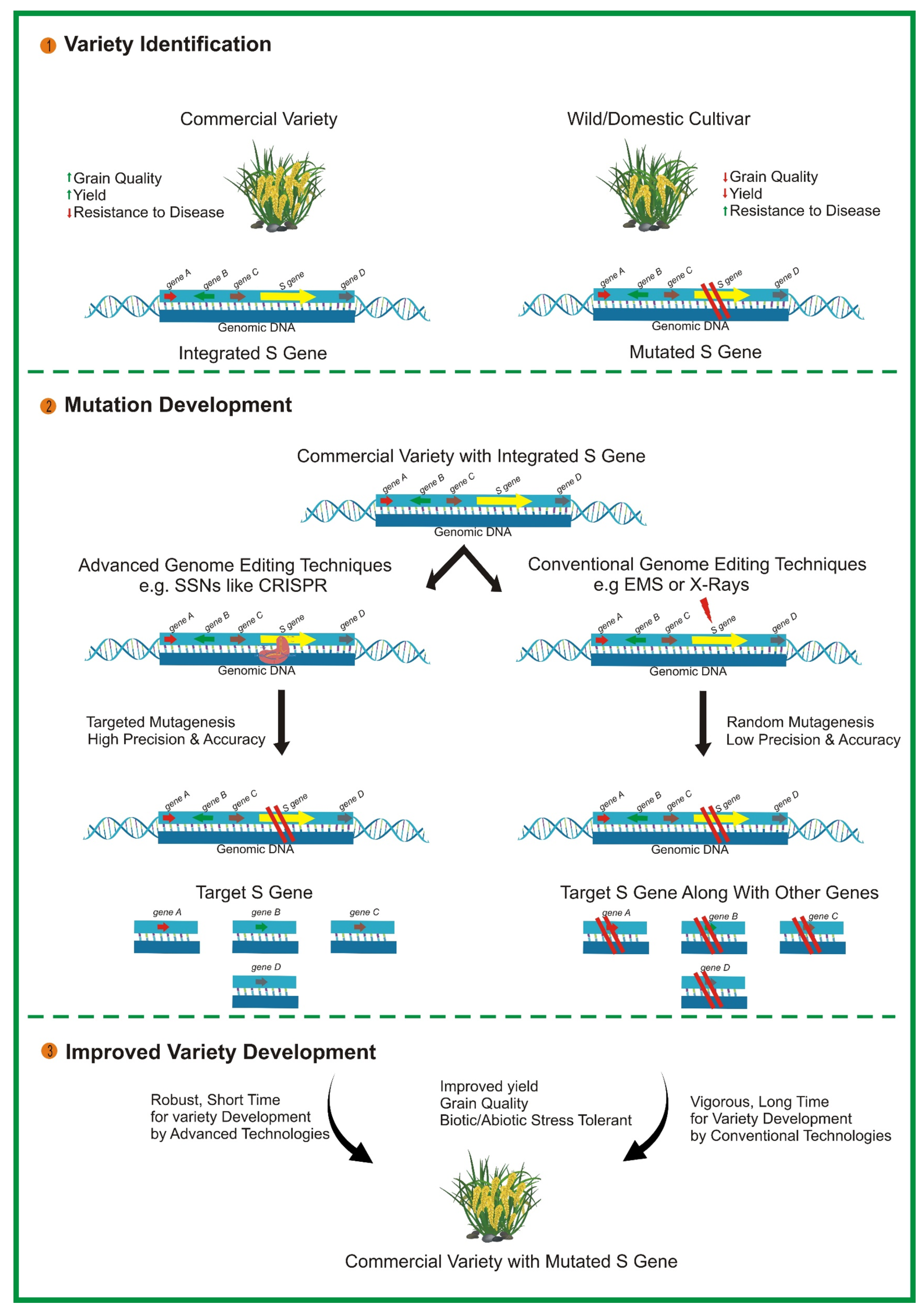 Preprints 106248 g002