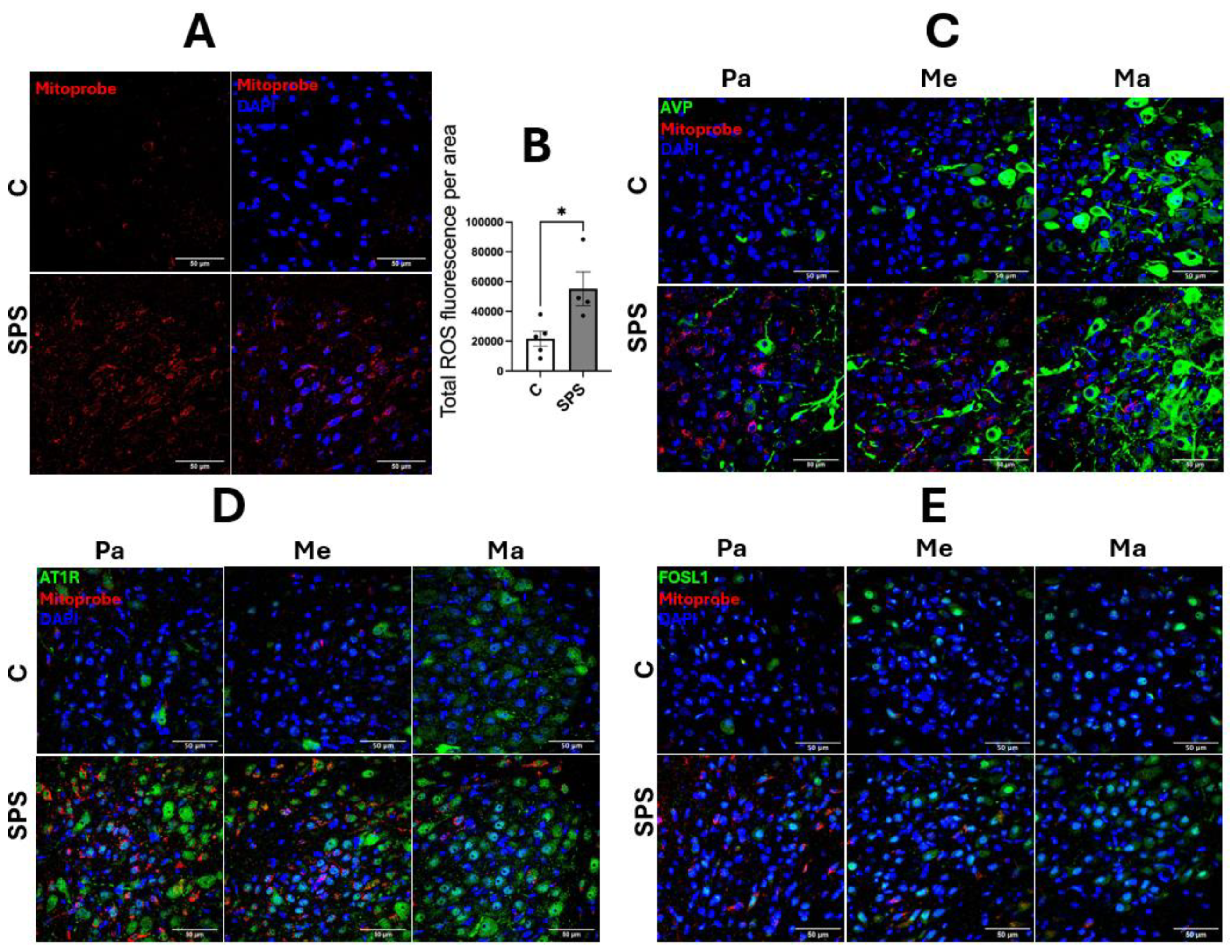 Preprints 117716 g003