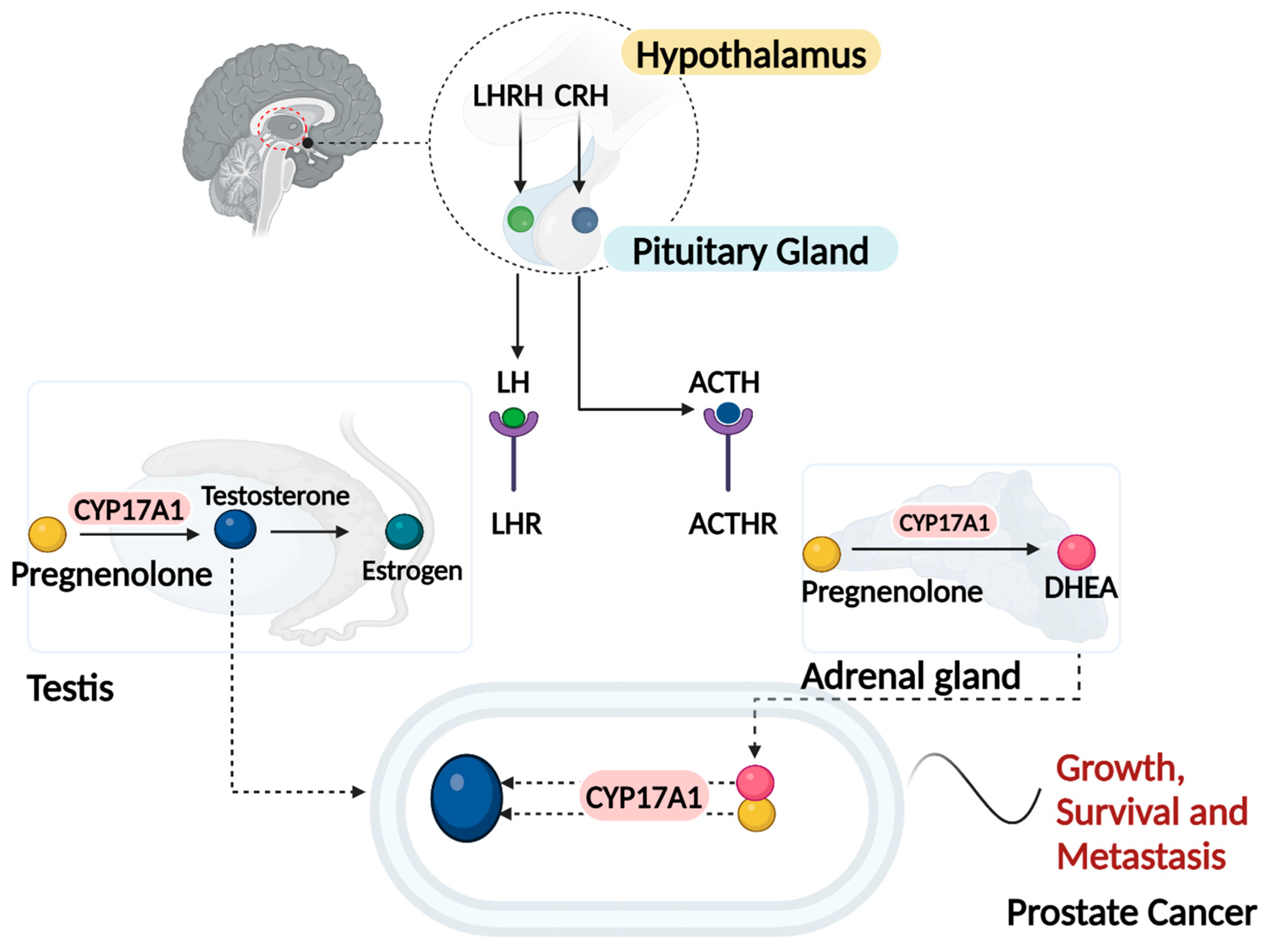 Preprints 137419 g001