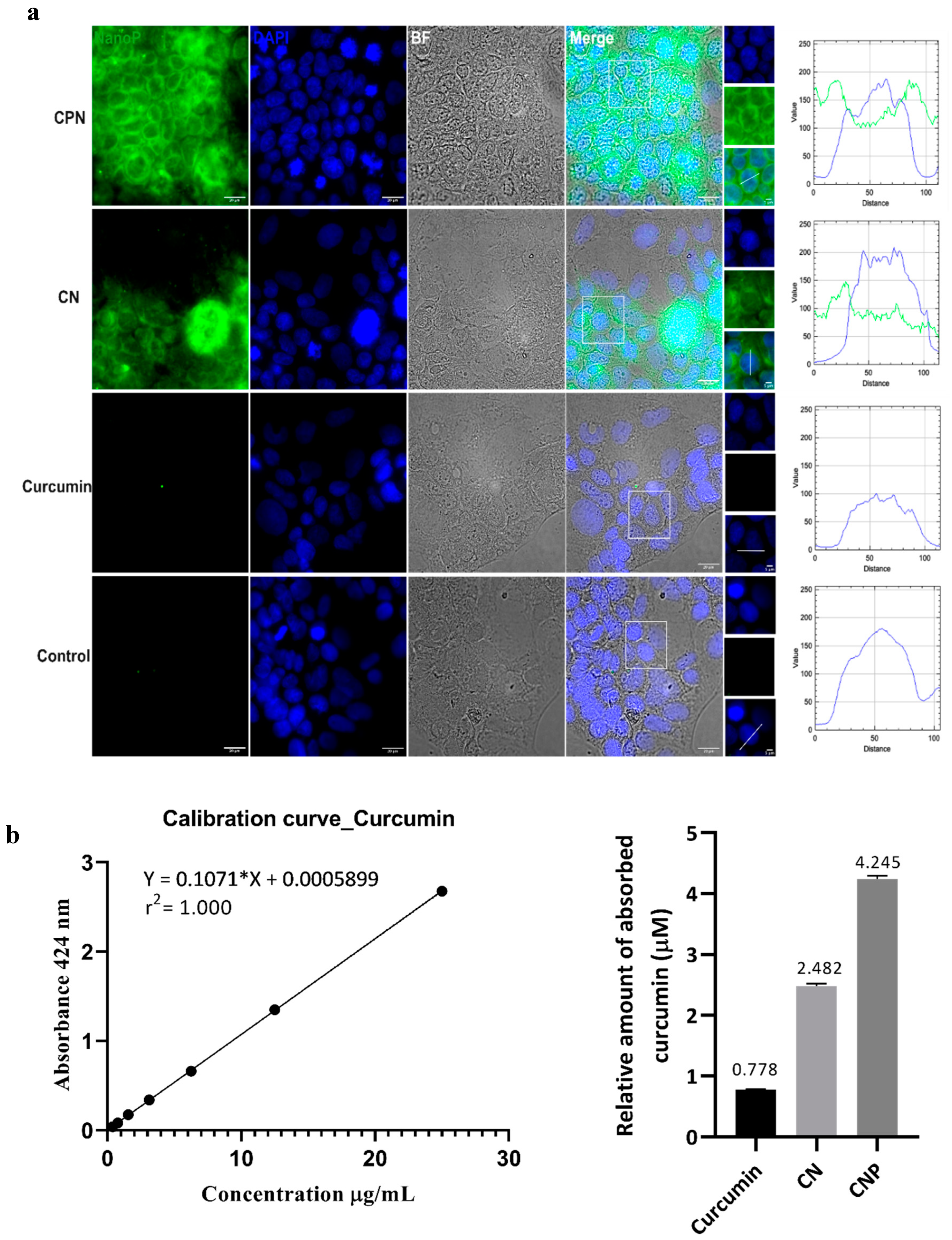 Preprints 137419 g003