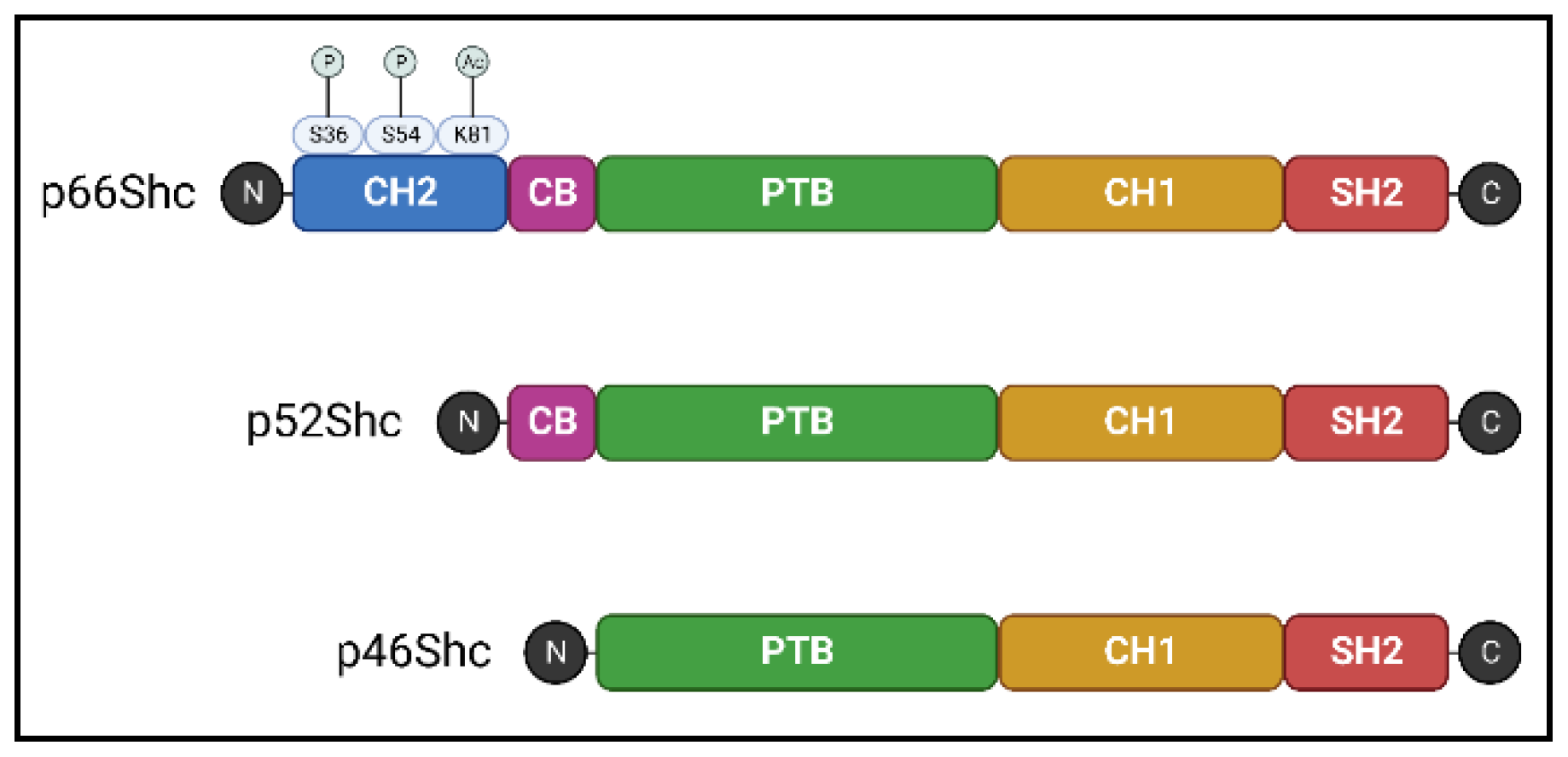 Preprints 99331 g001