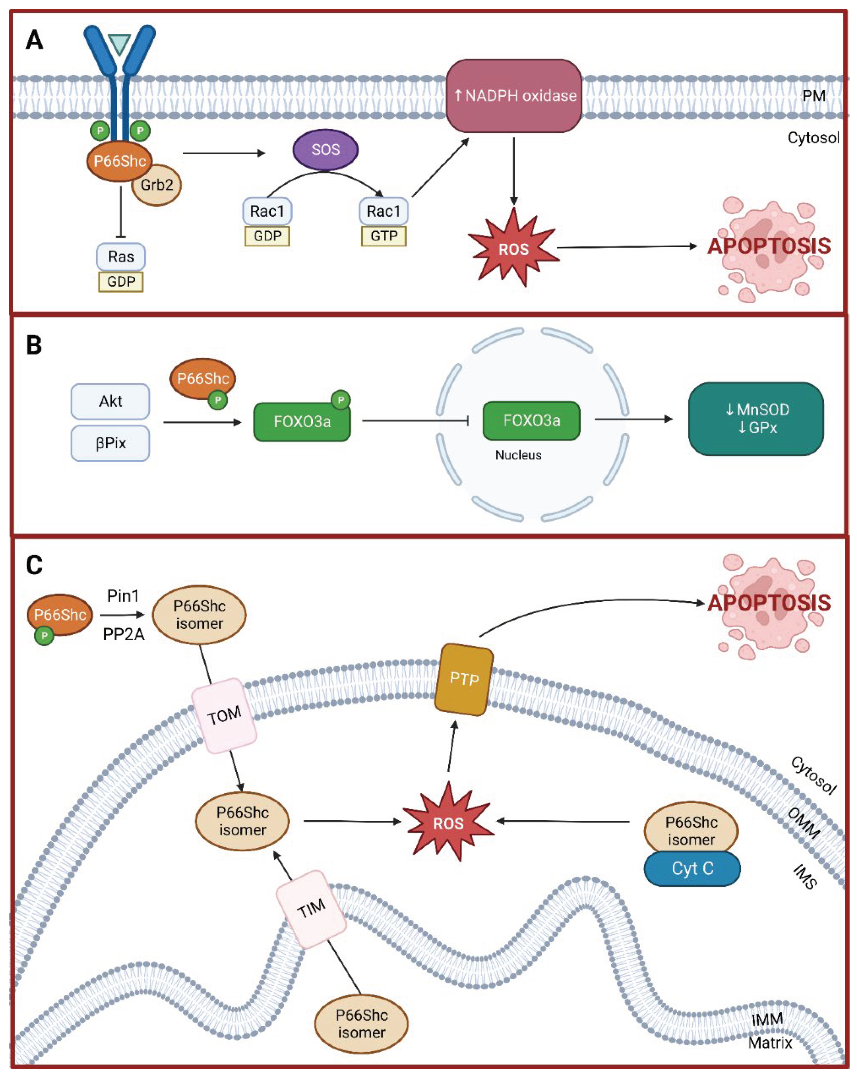 Preprints 99331 g002