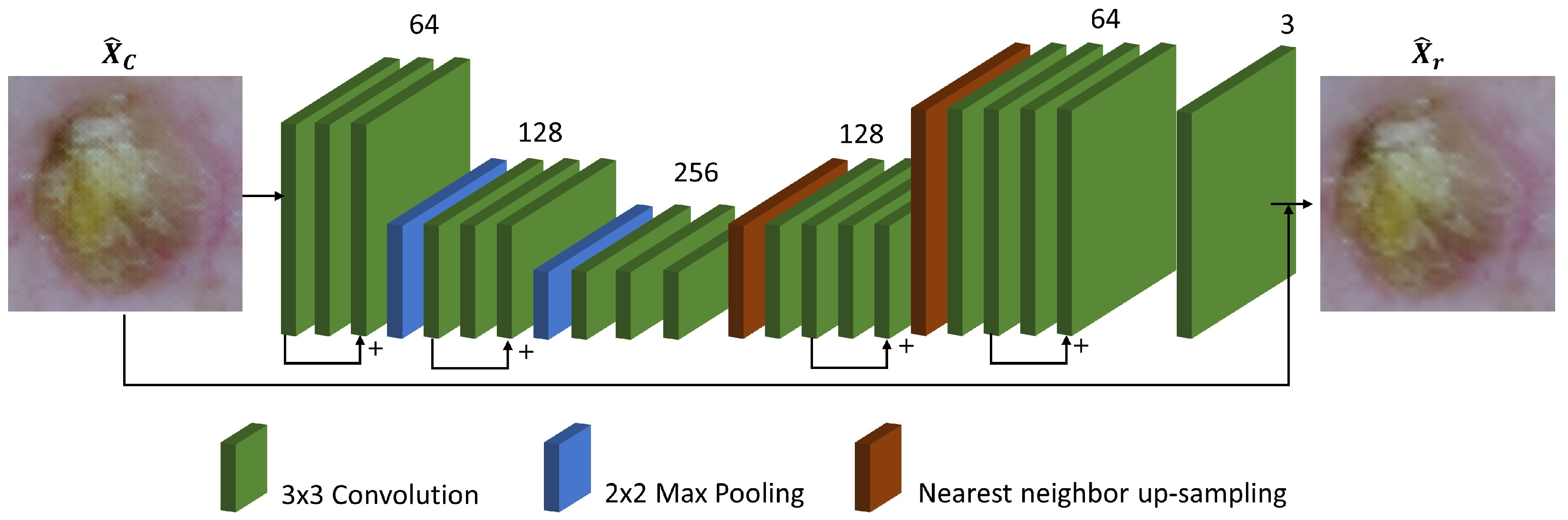 Preprints 68442 g002