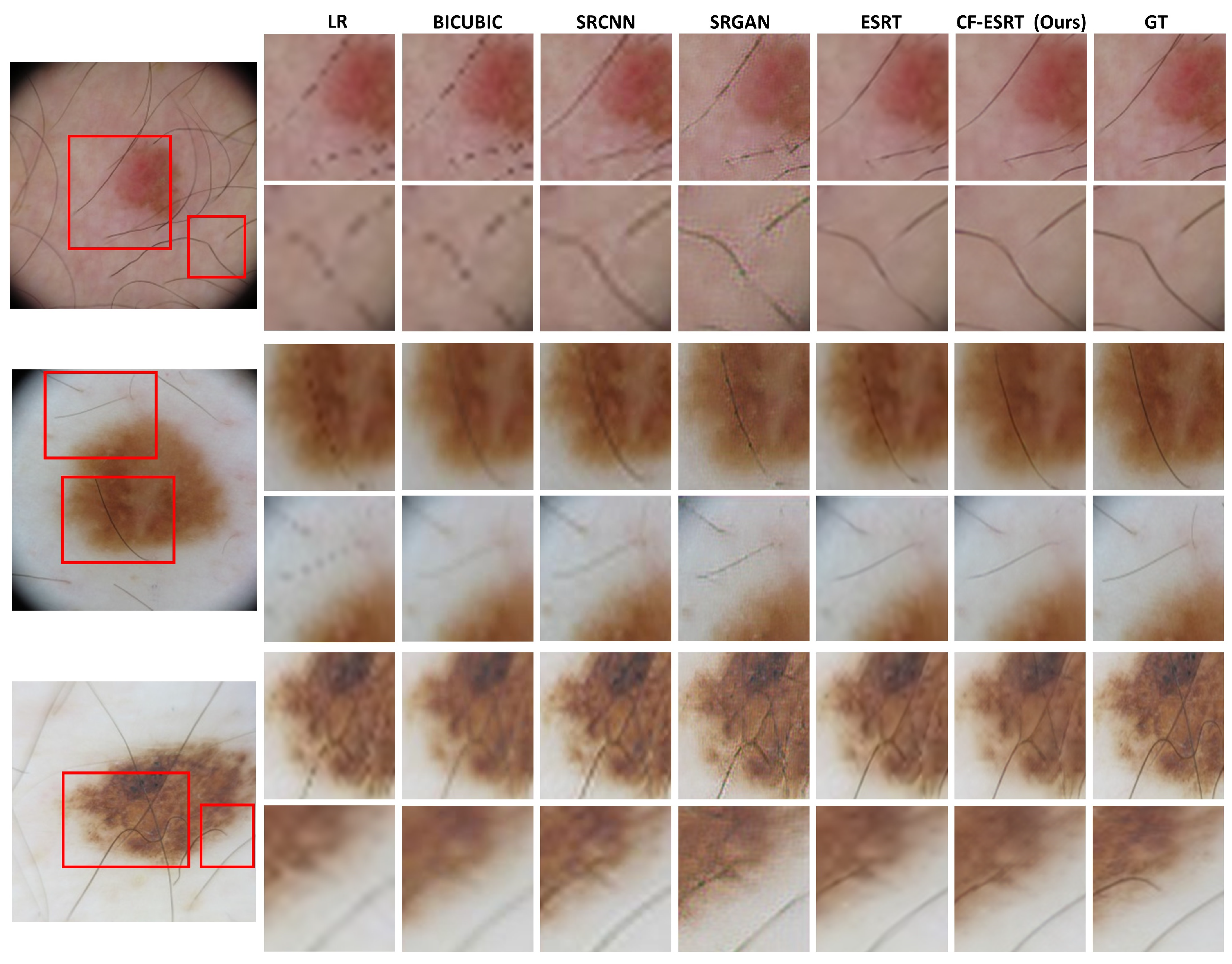 Preprints 68442 g003