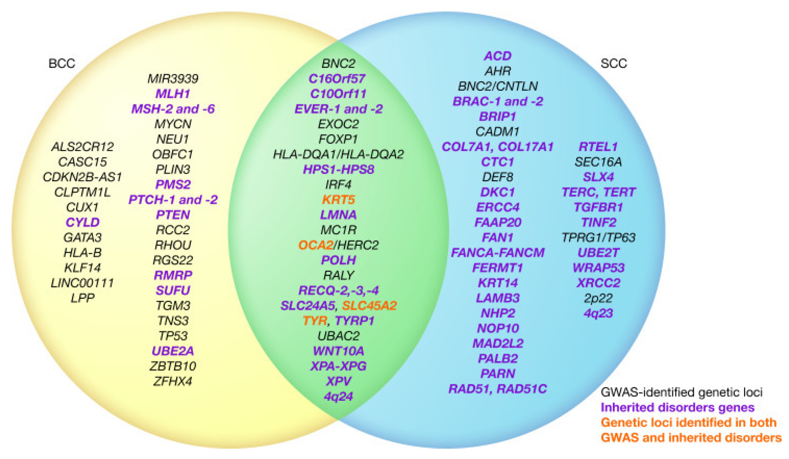 Preprints 91902 g001