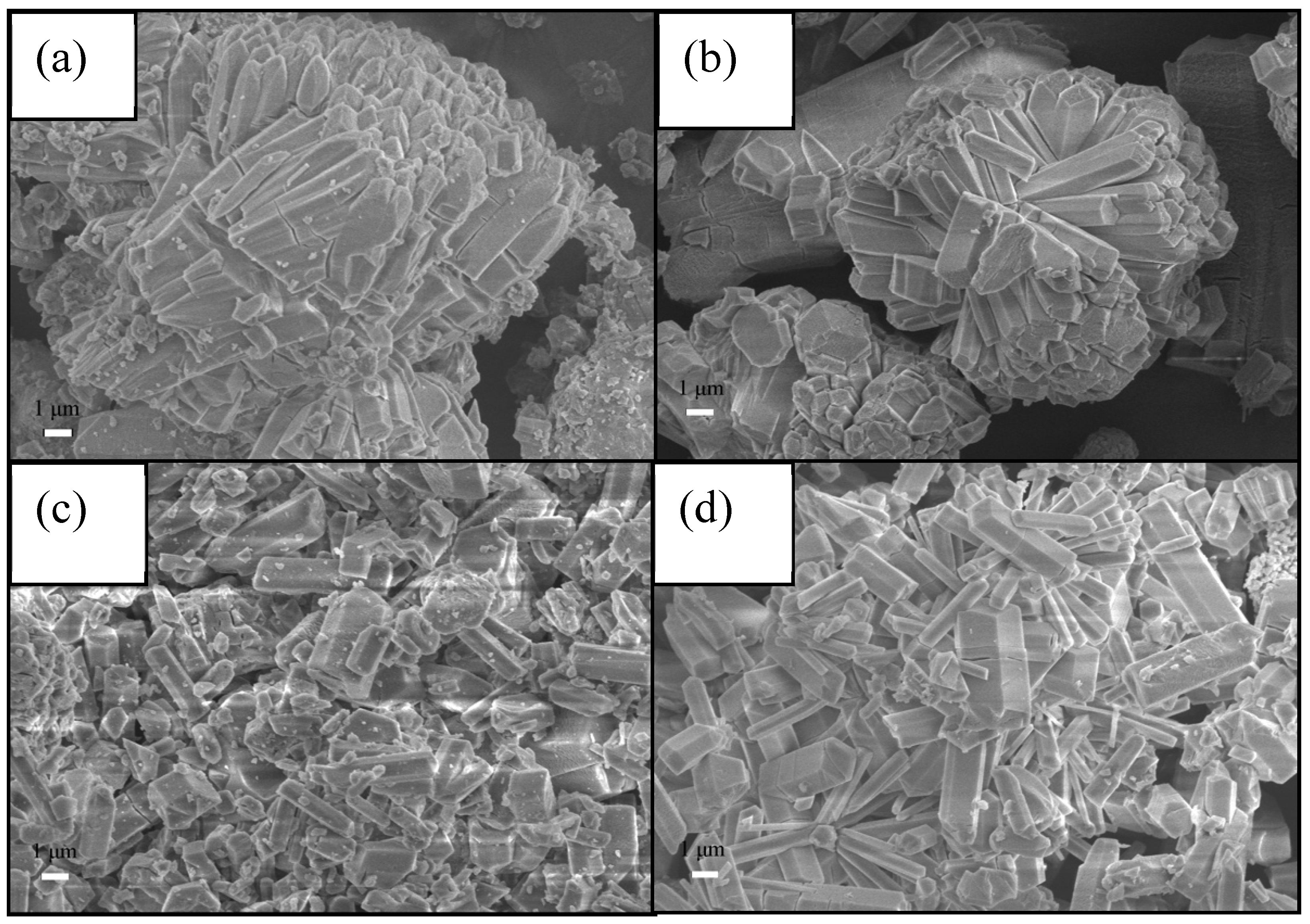 Preprints 97369 g002