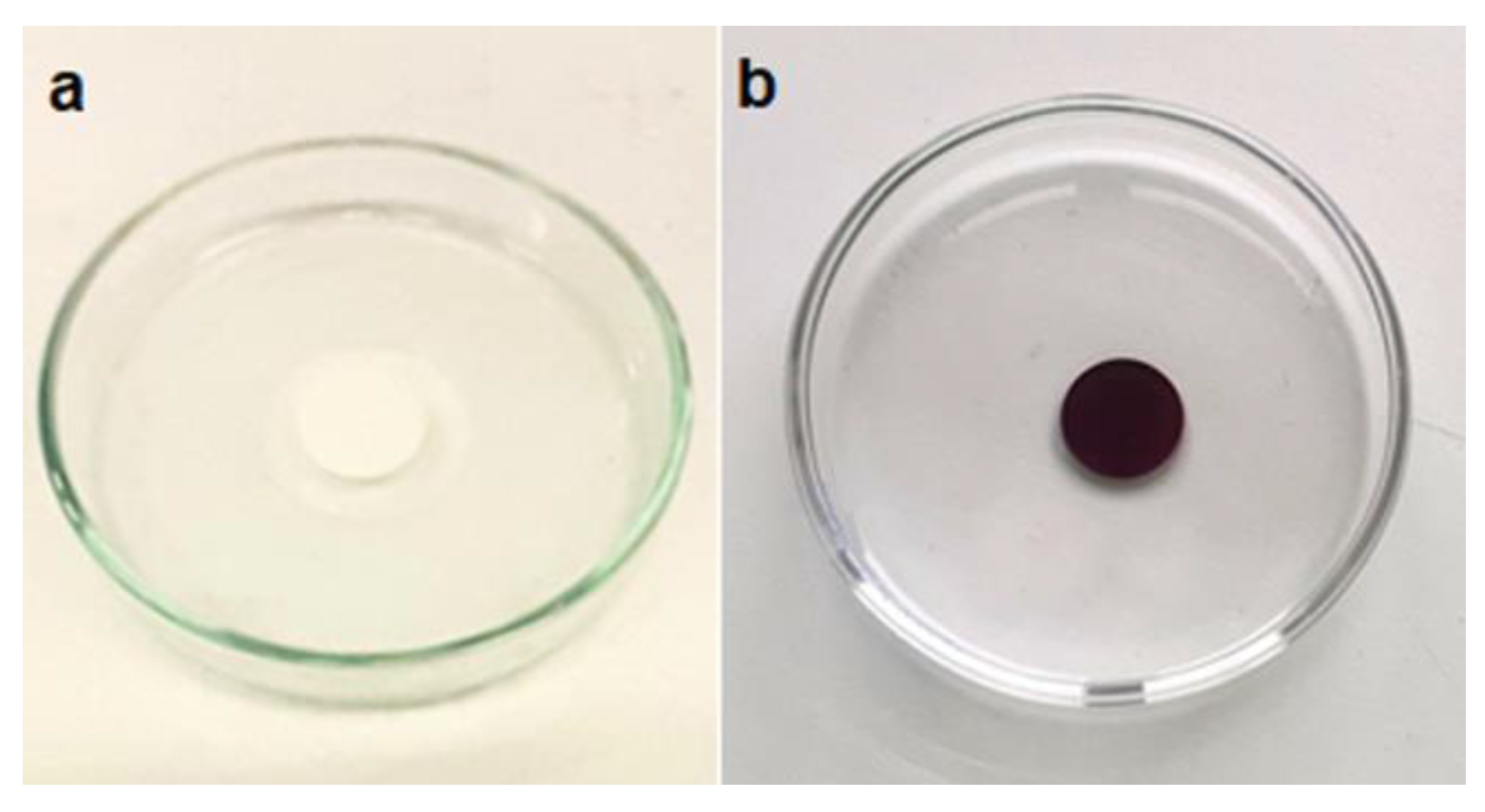 Preprints 116759 g005