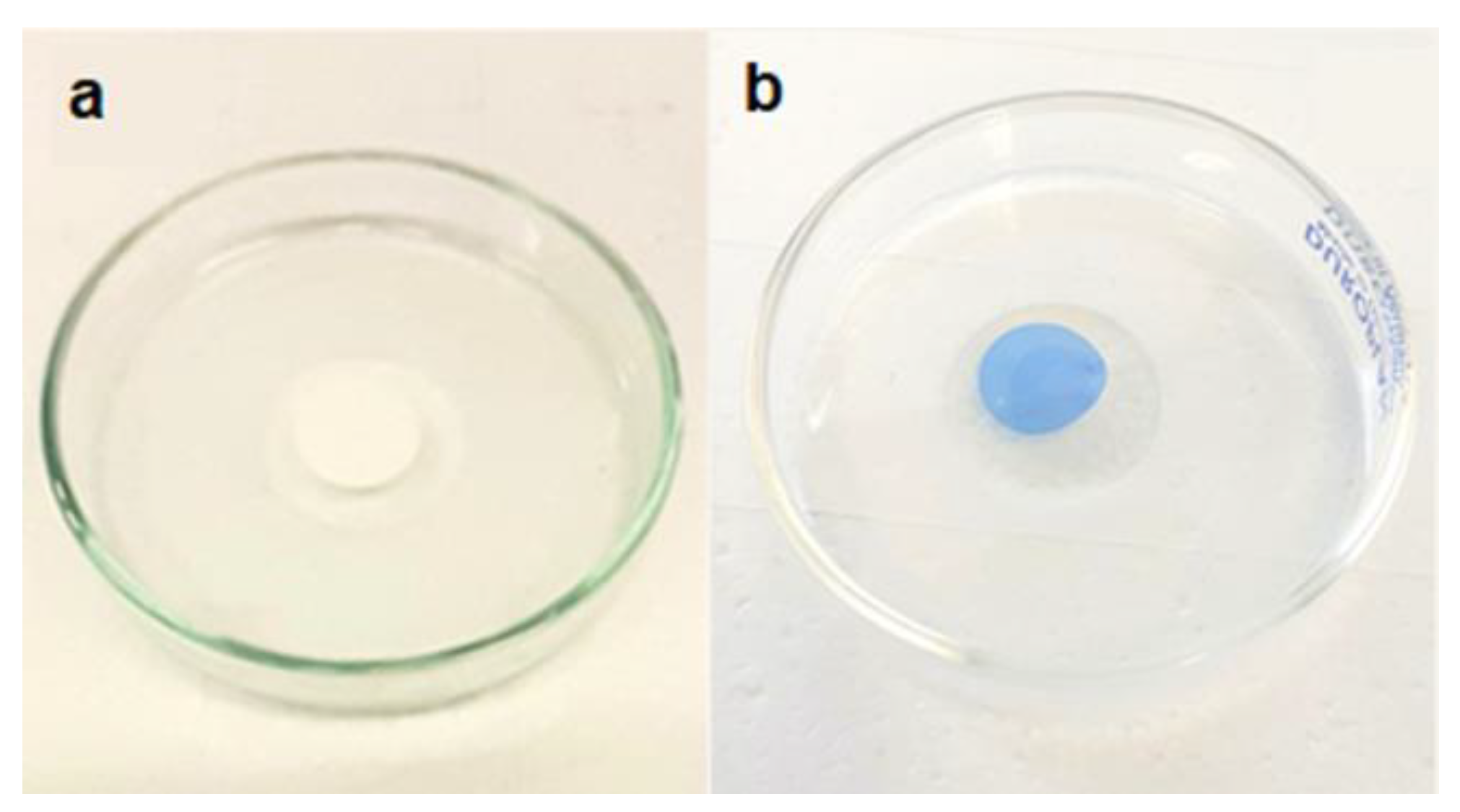 Preprints 116759 g010