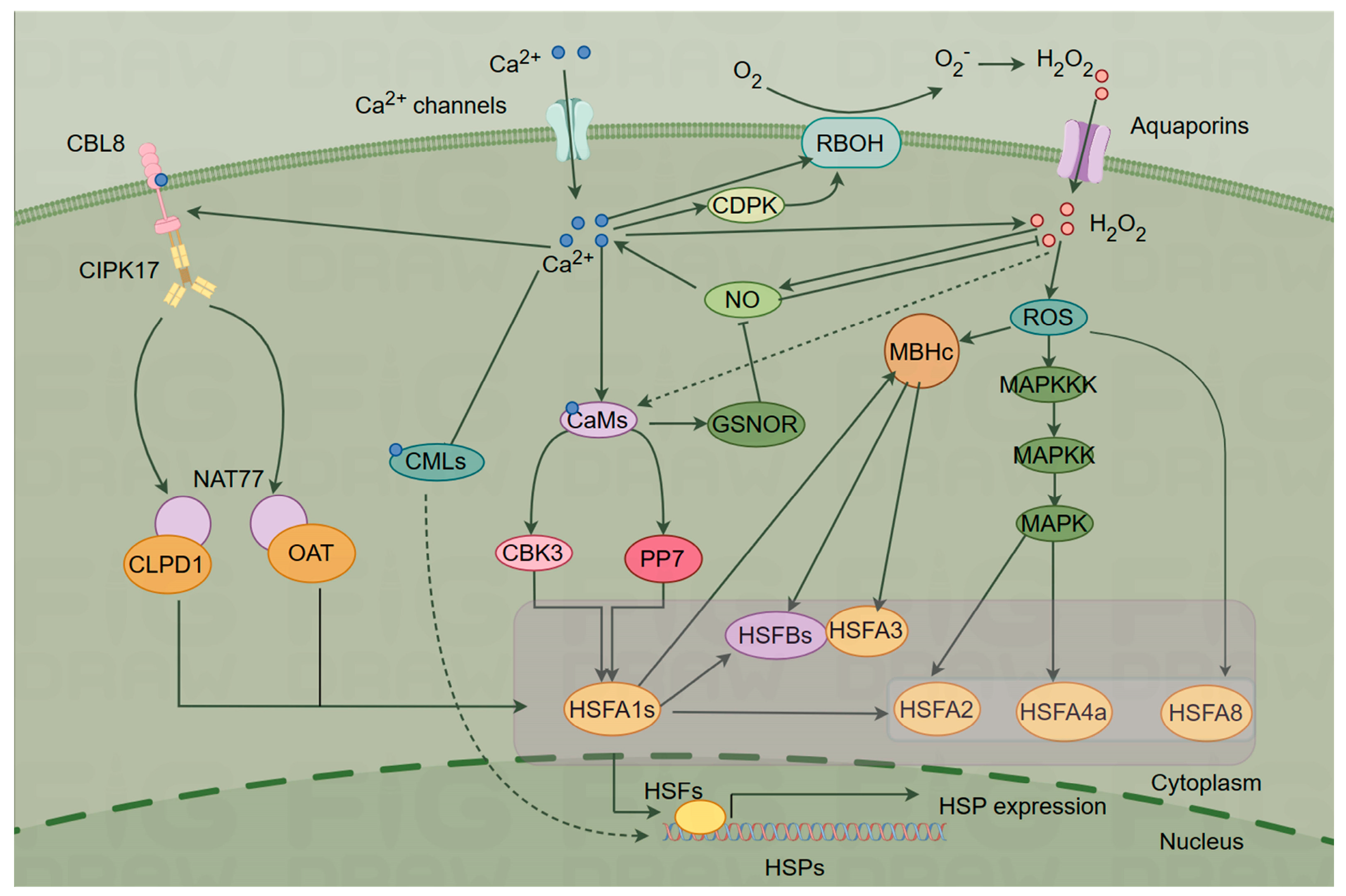 Preprints 91921 g002