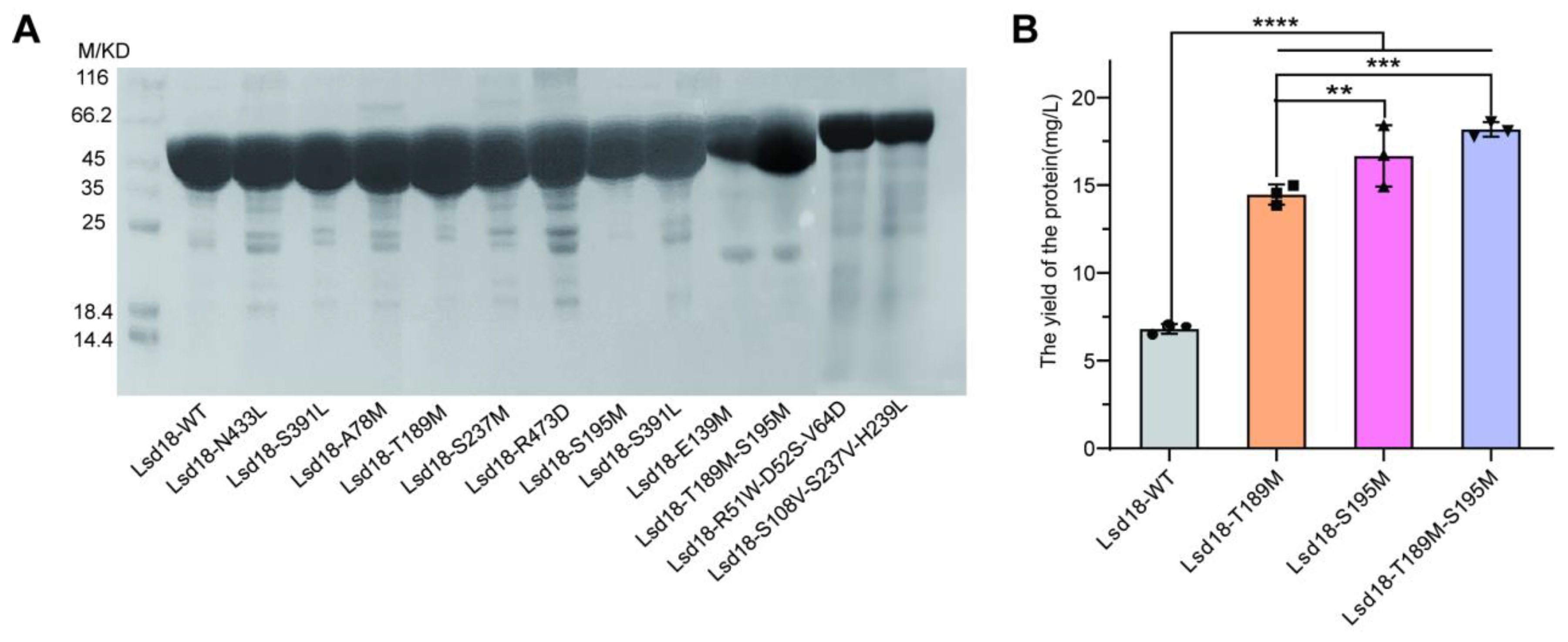 Preprints 89517 g001