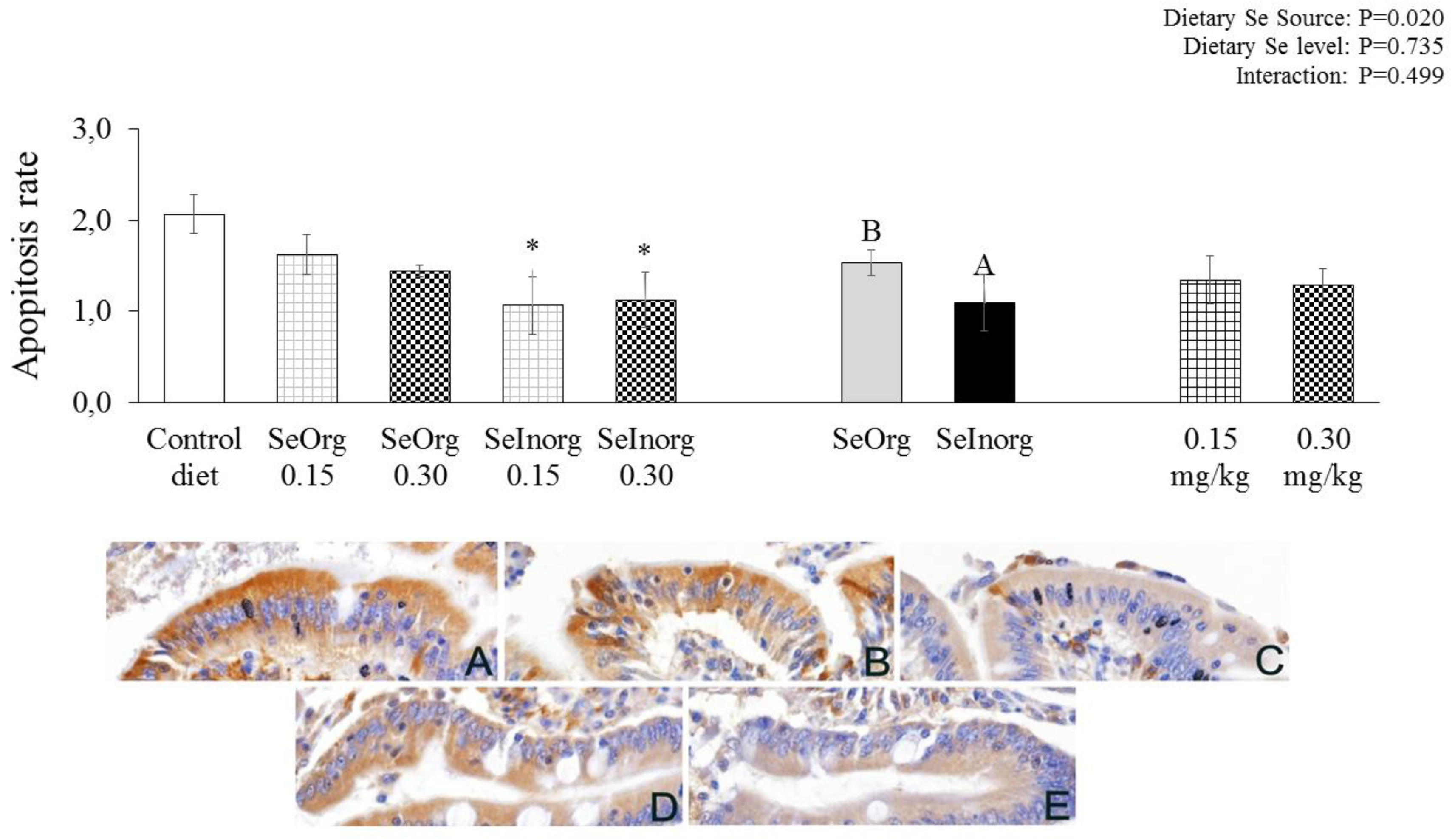 Preprints 104007 g001