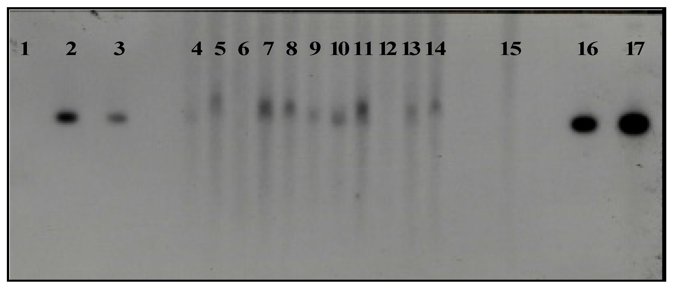 Preprints 119067 g007