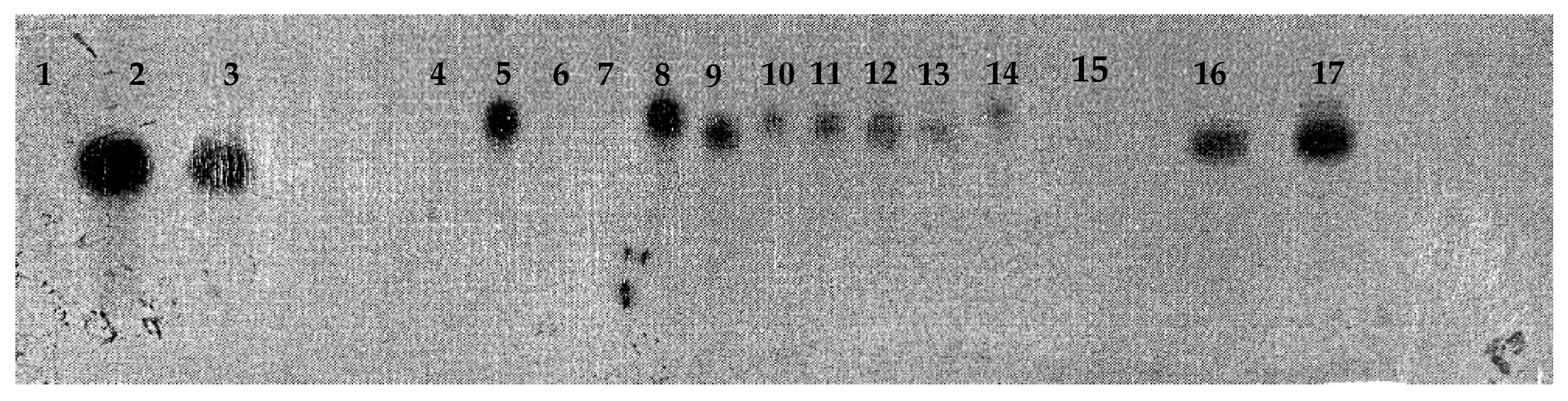 Preprints 119067 g009