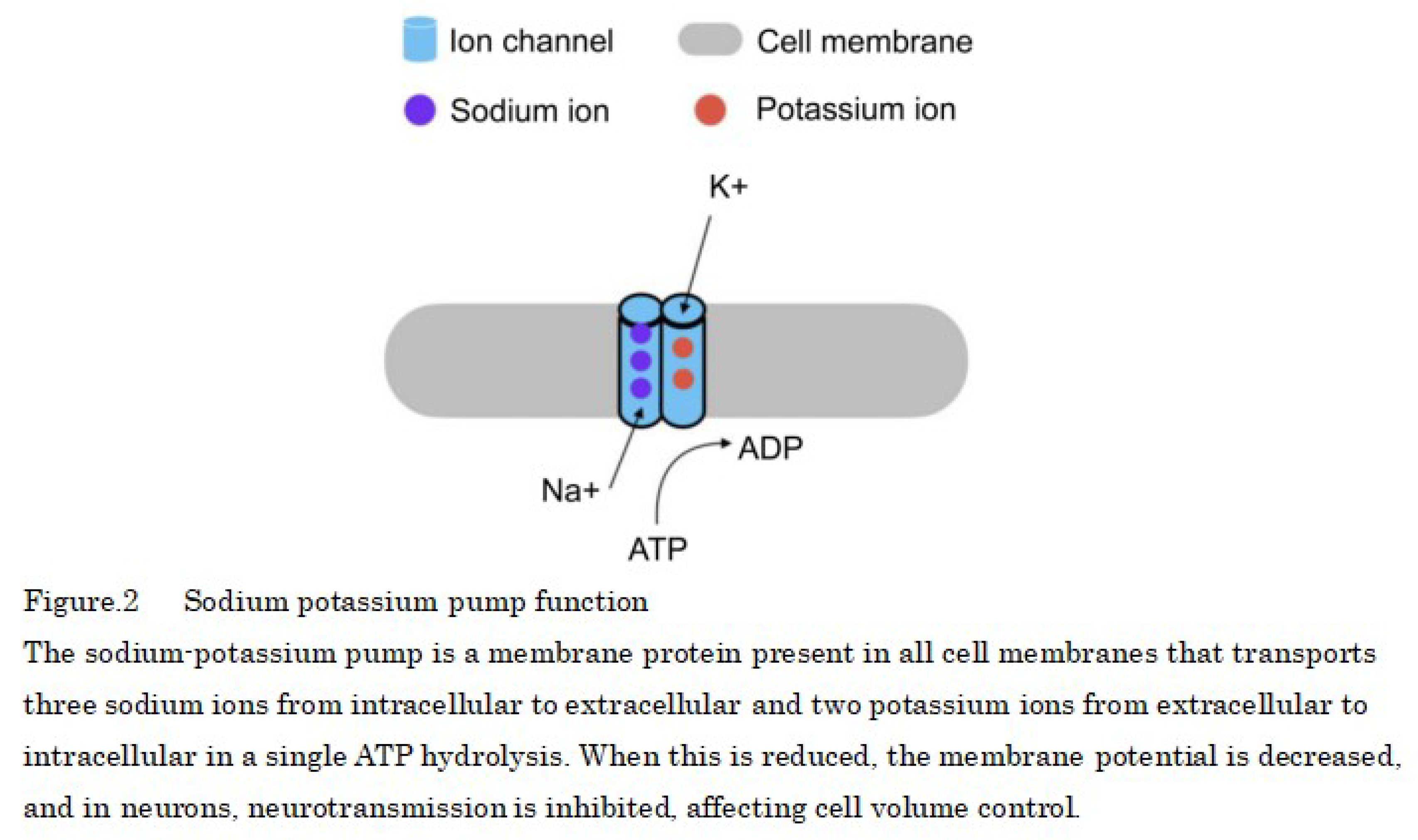 Preprints 115598 g002