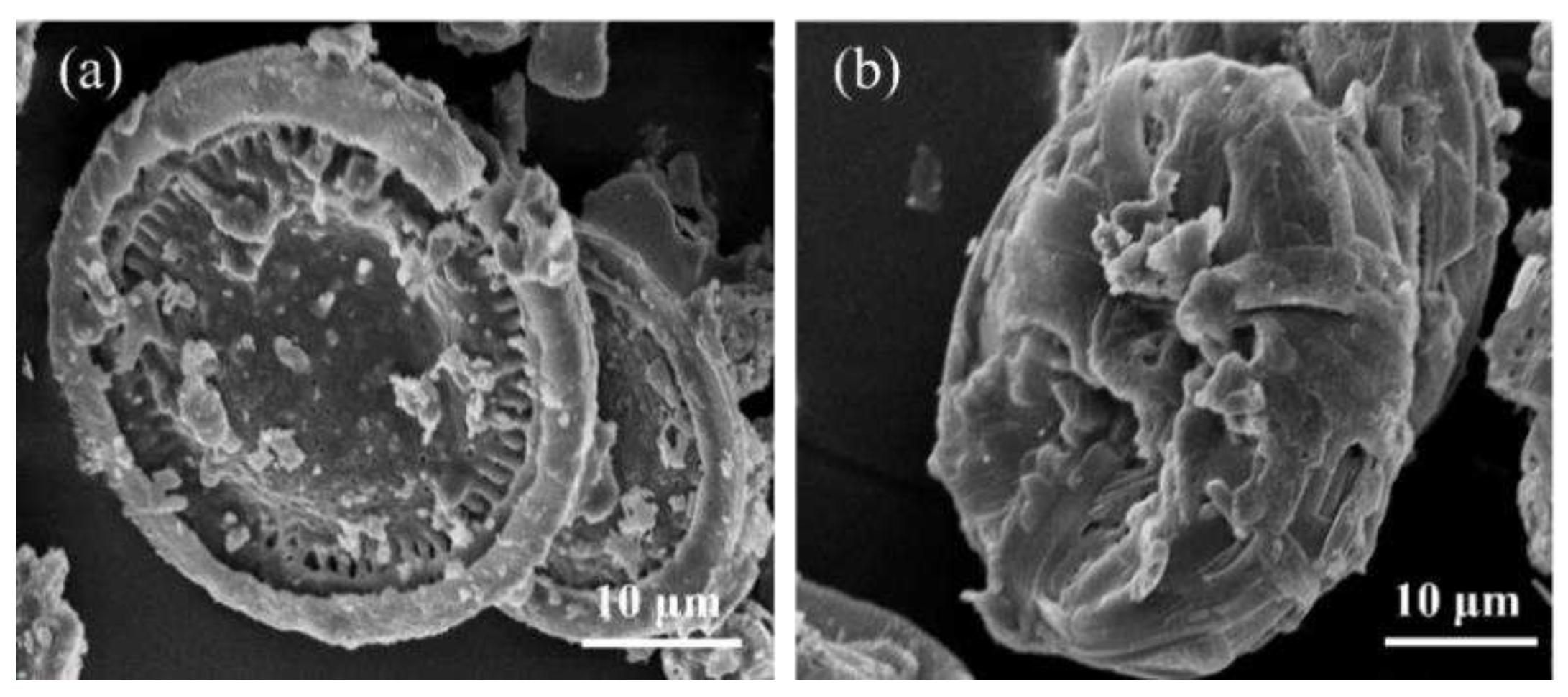 Preprints 94314 g002