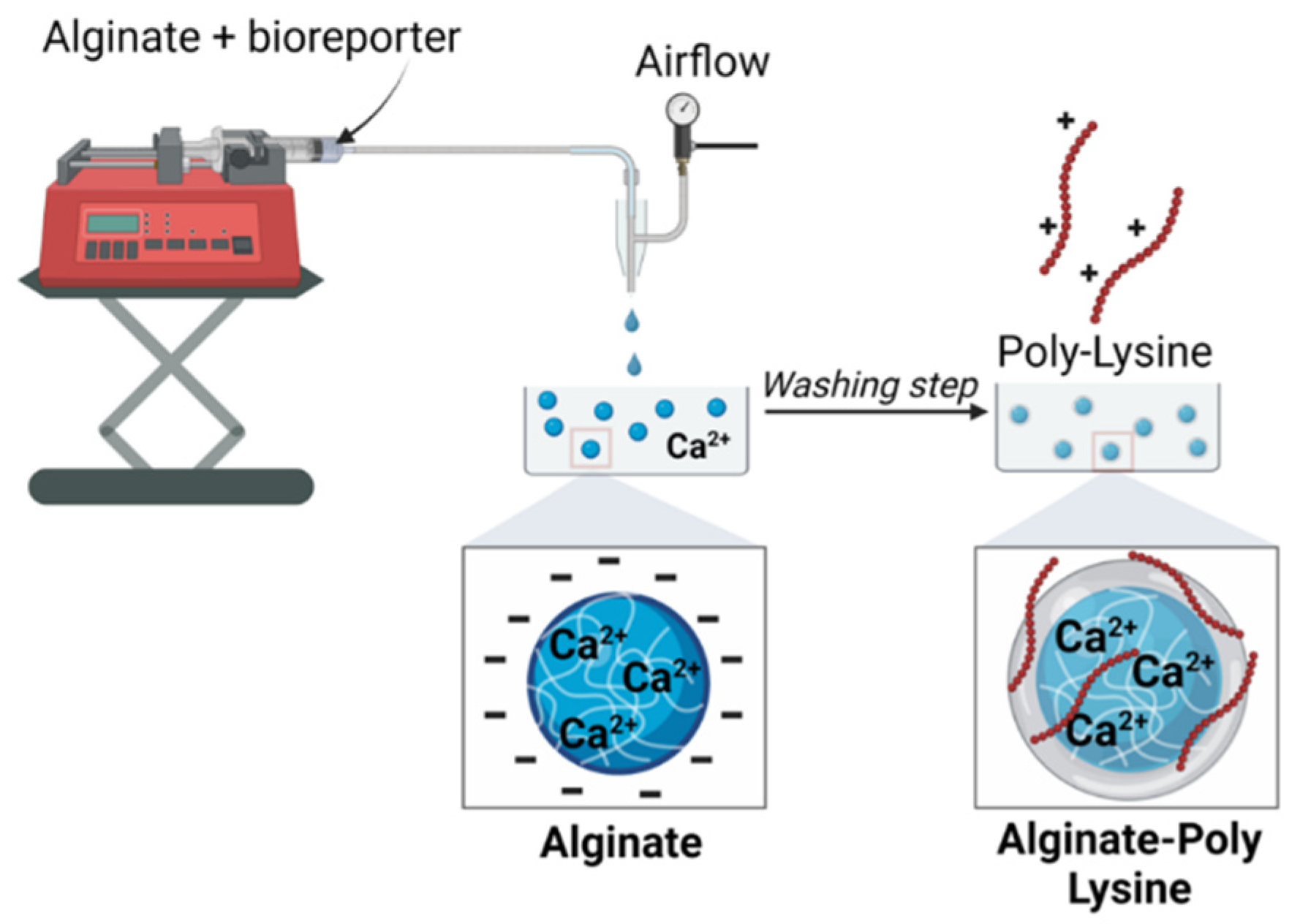 Preprints 109314 g003