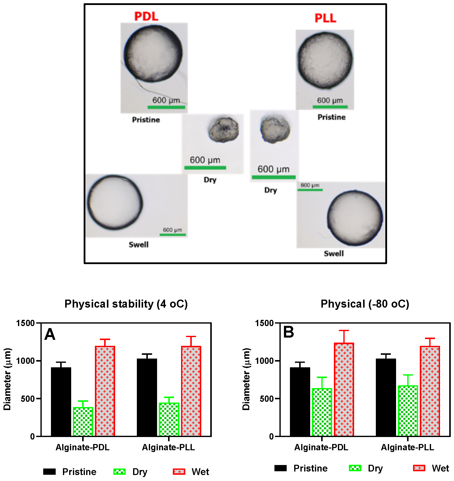 Preprints 109314 g006