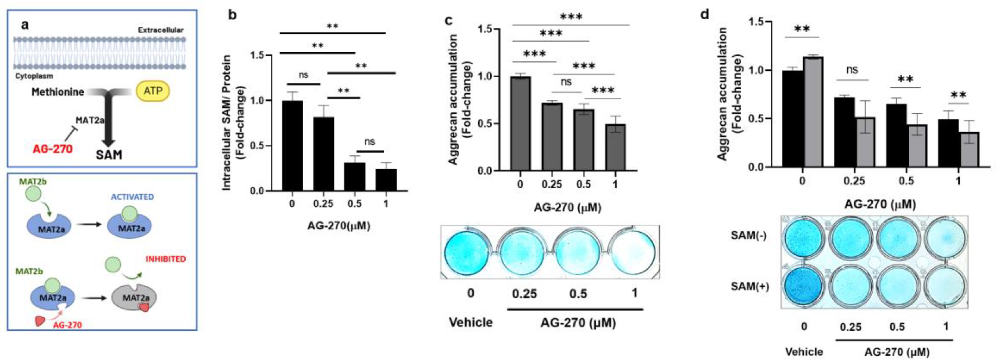 Preprints 89699 g003