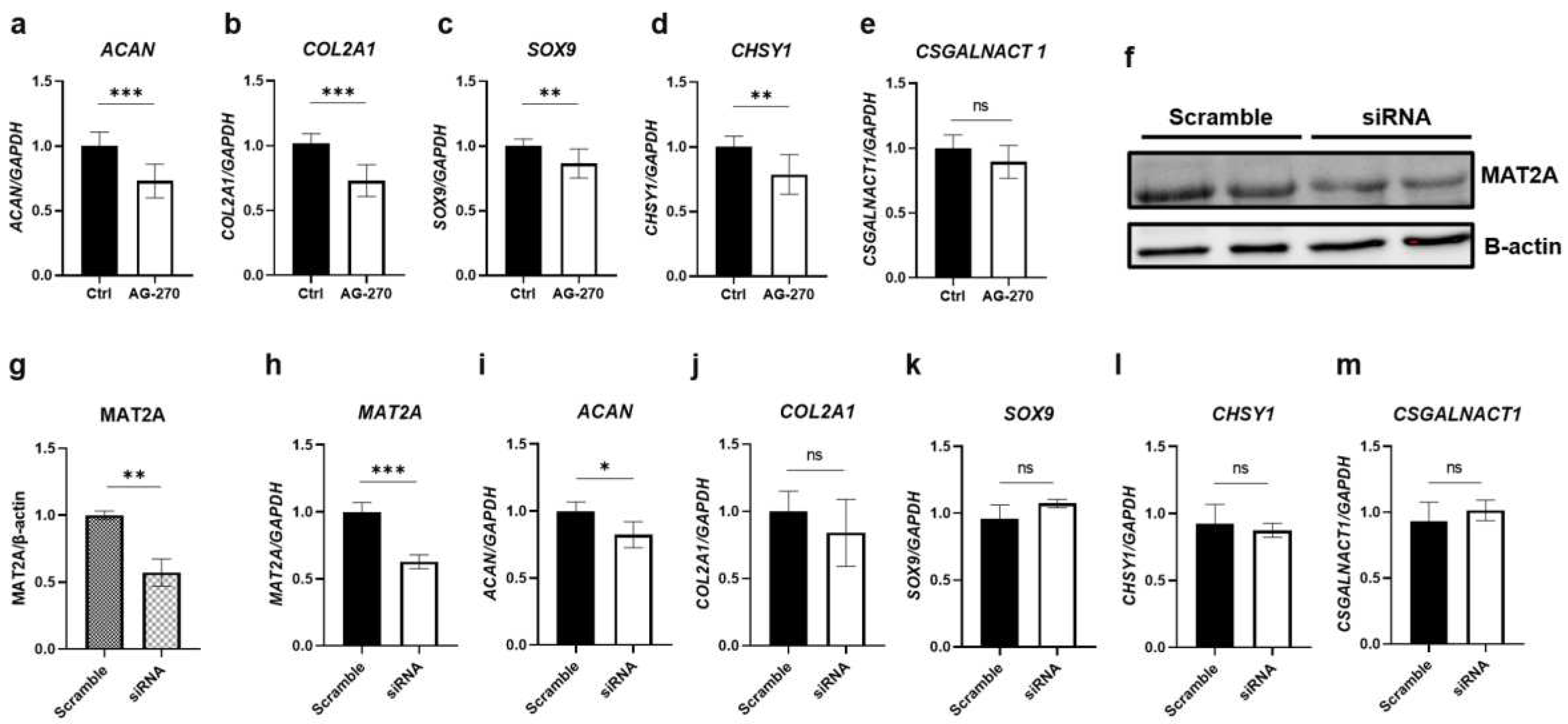 Preprints 89699 g004