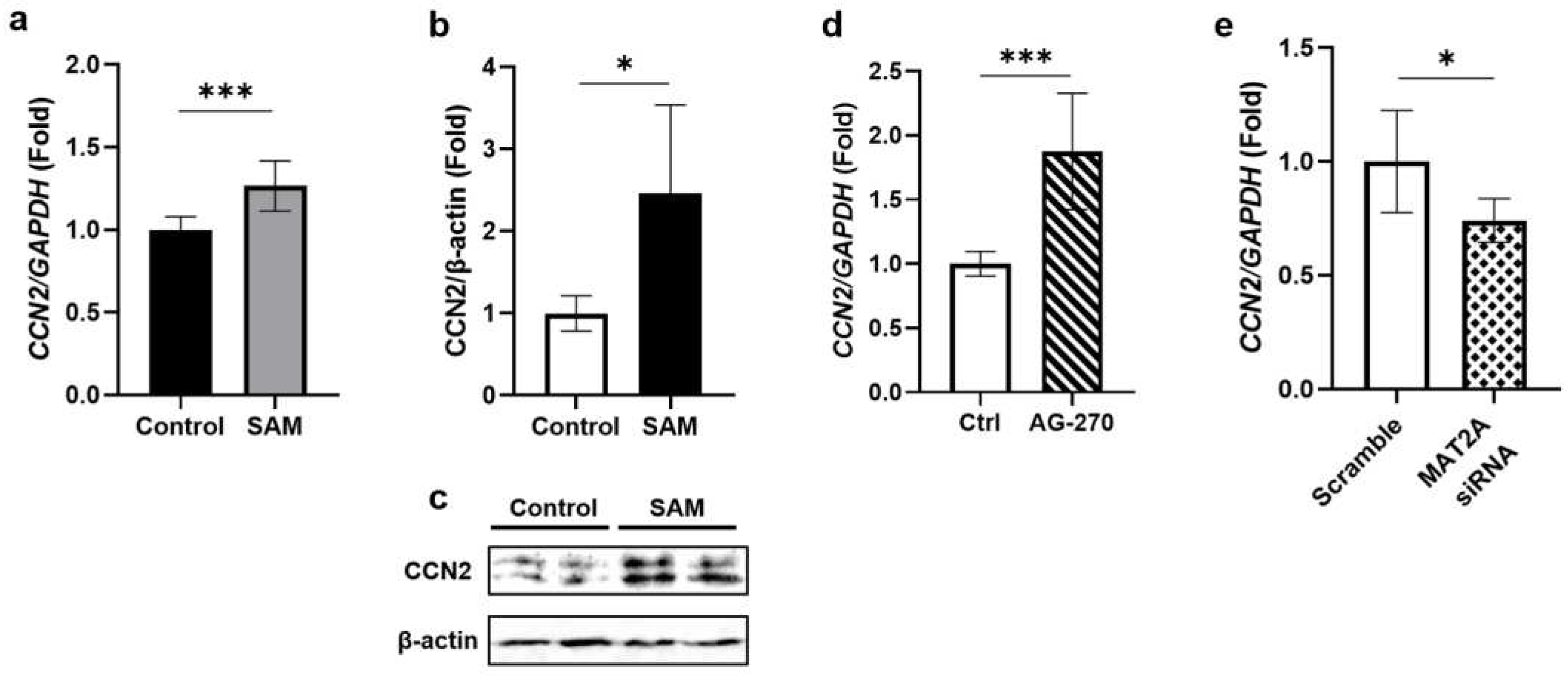 Preprints 89699 g005