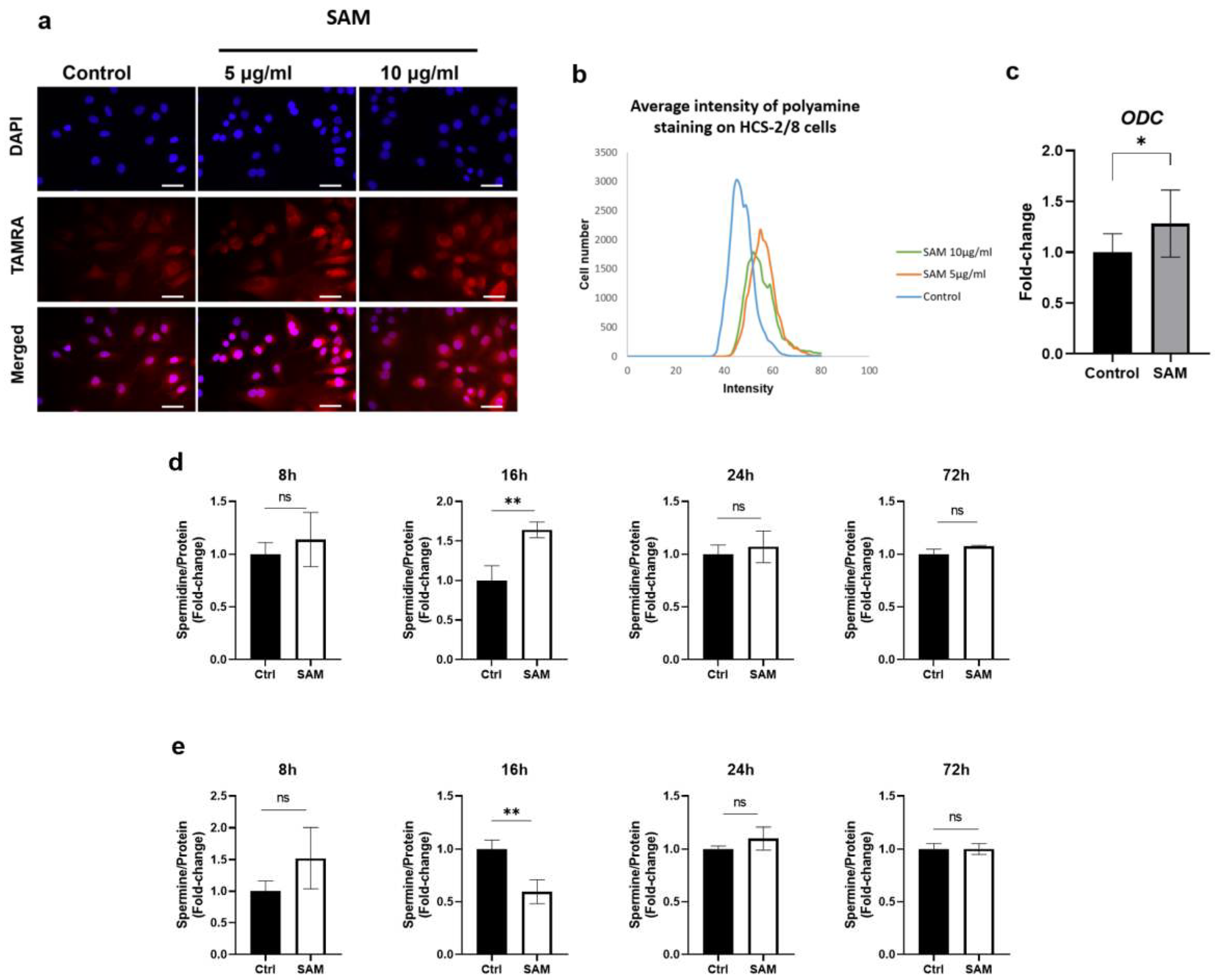 Preprints 89699 g006