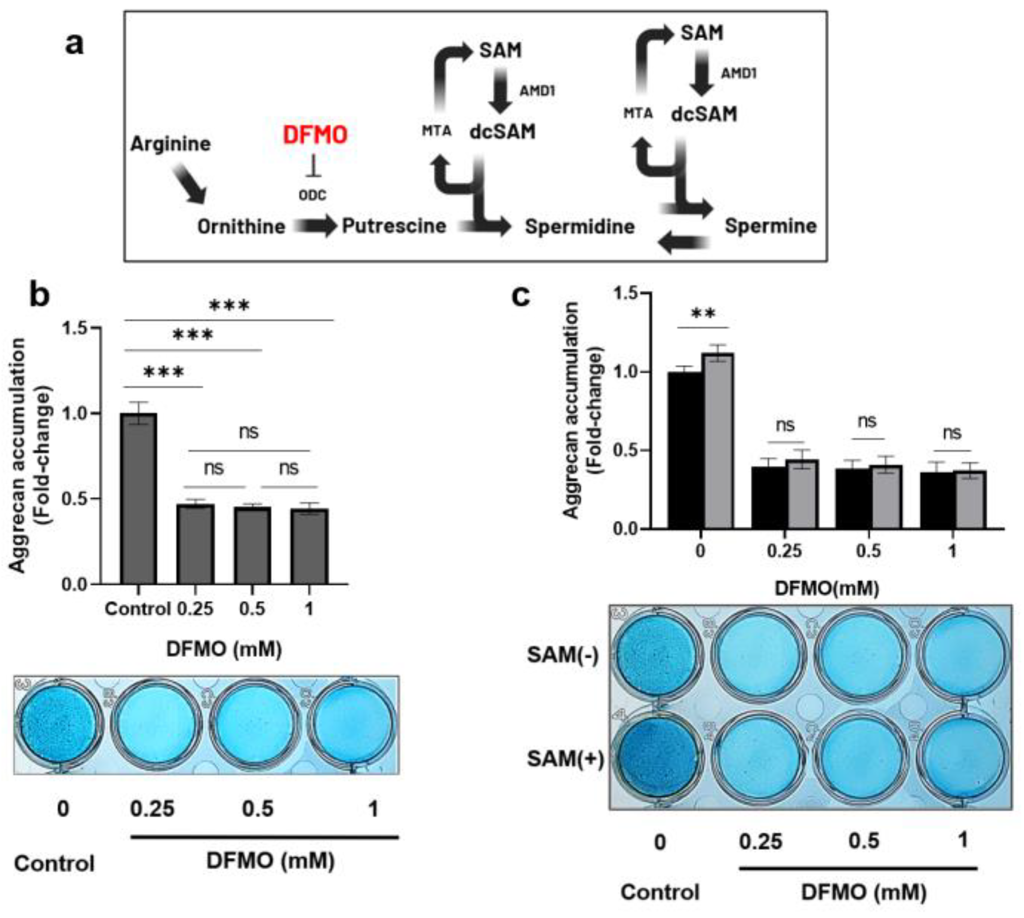 Preprints 89699 g007