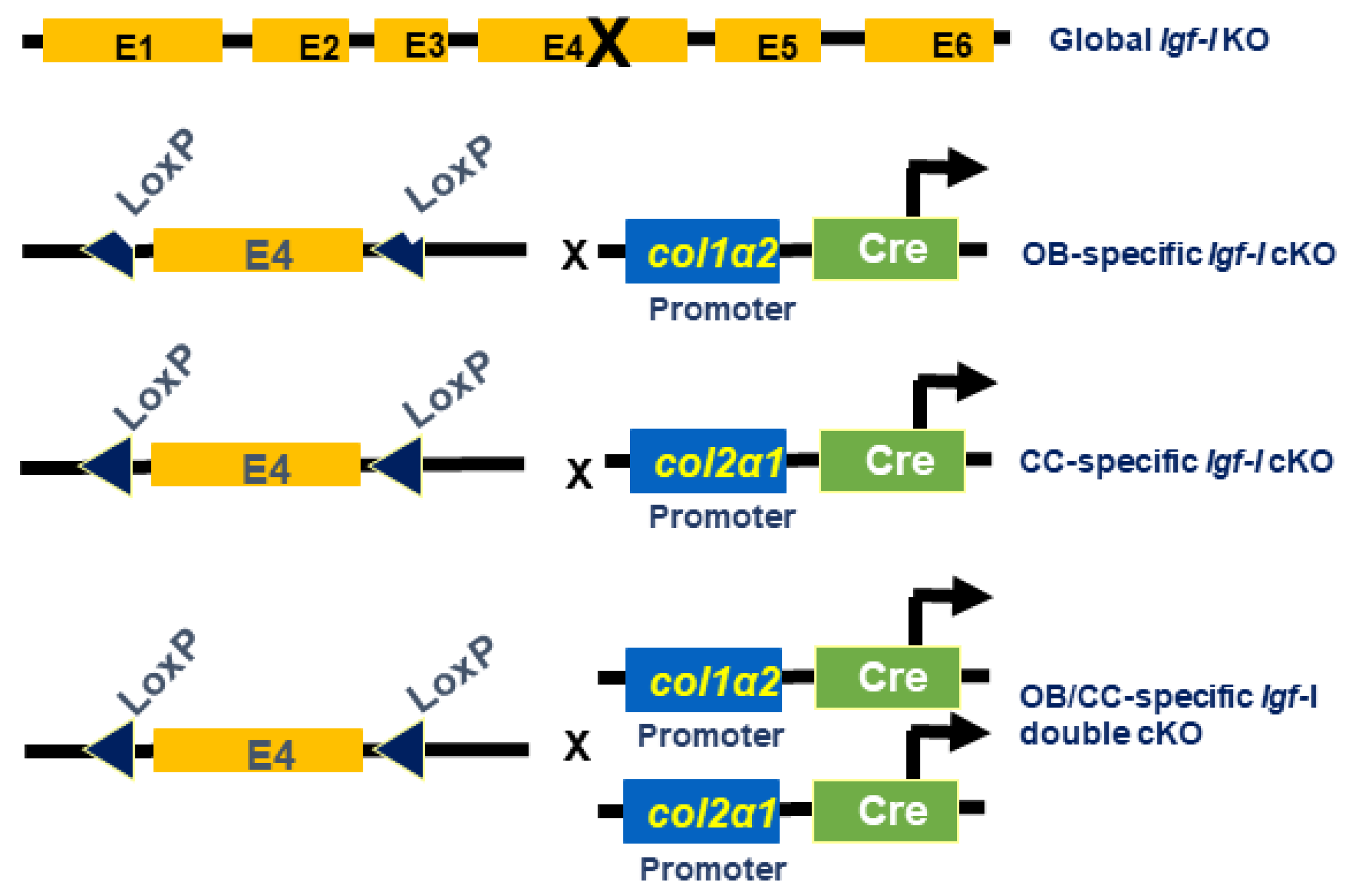 Preprints 81839 g001