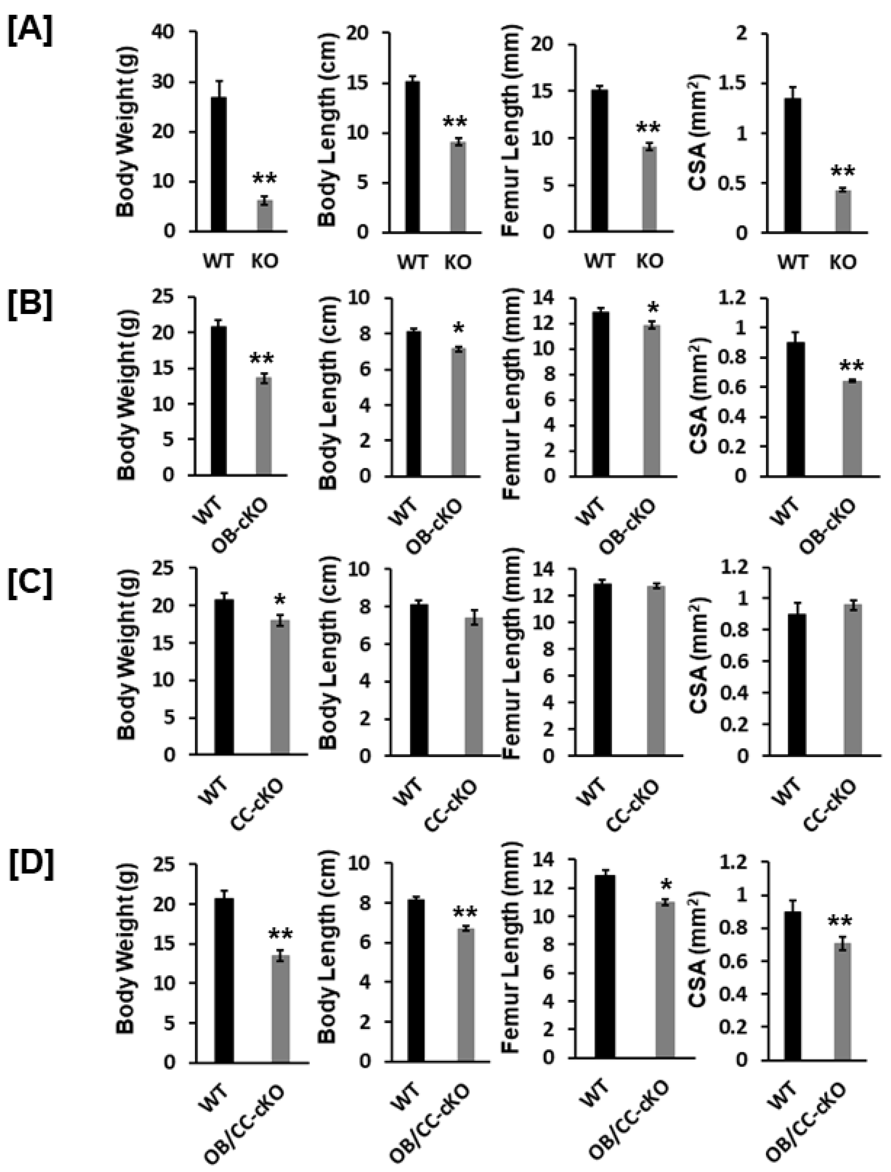 Preprints 81839 g002