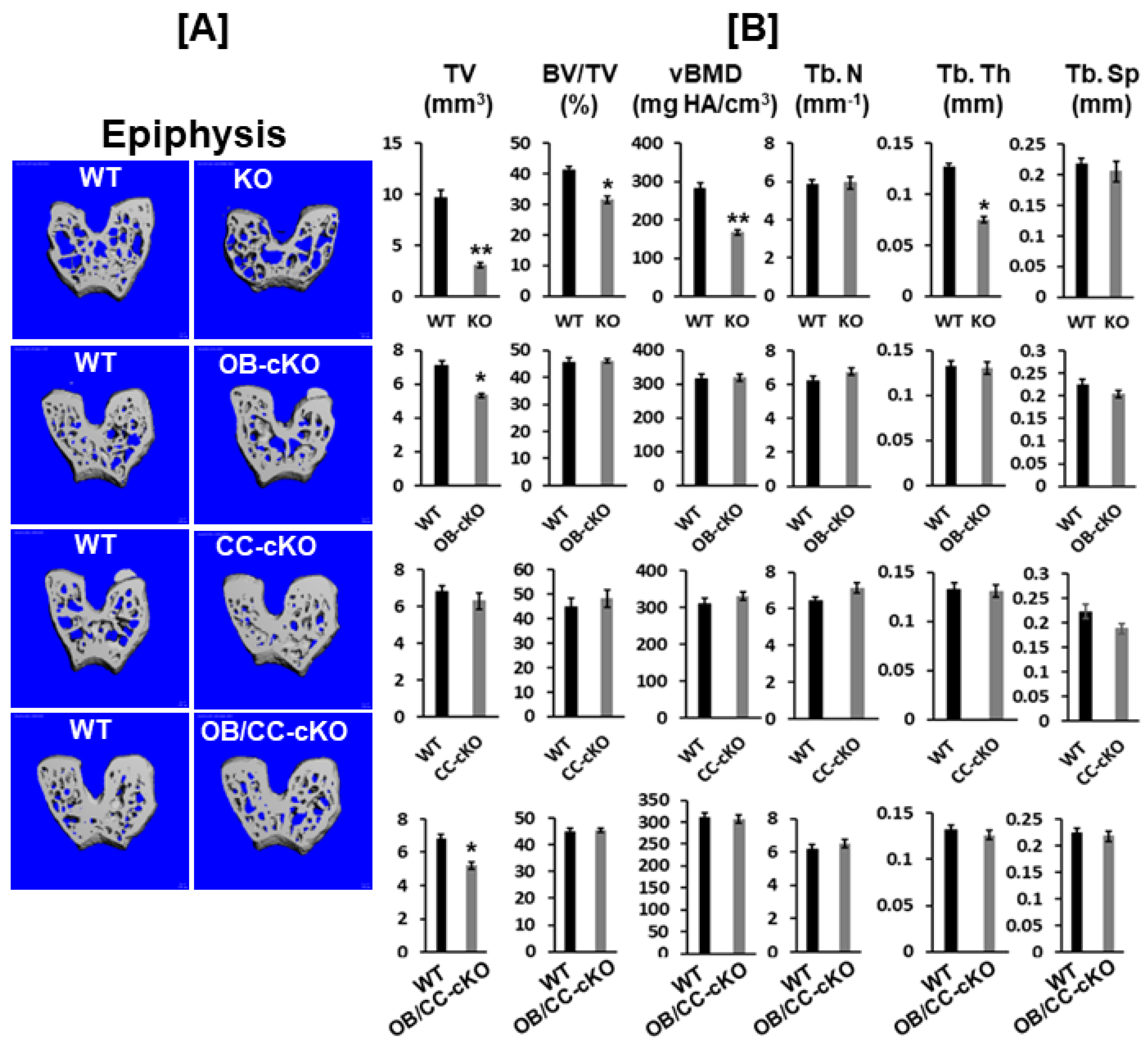 Preprints 81839 g003