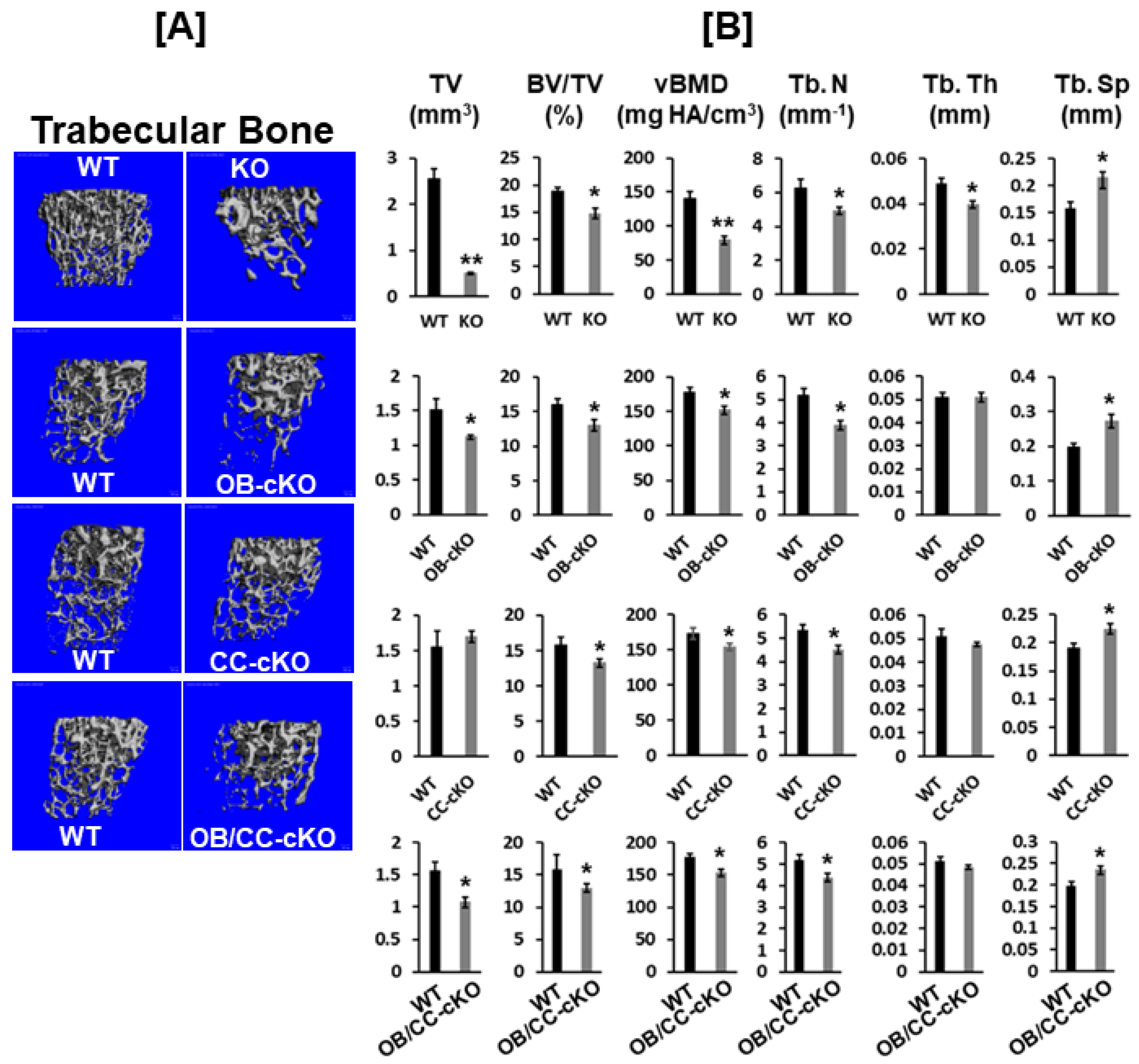 Preprints 81839 g004