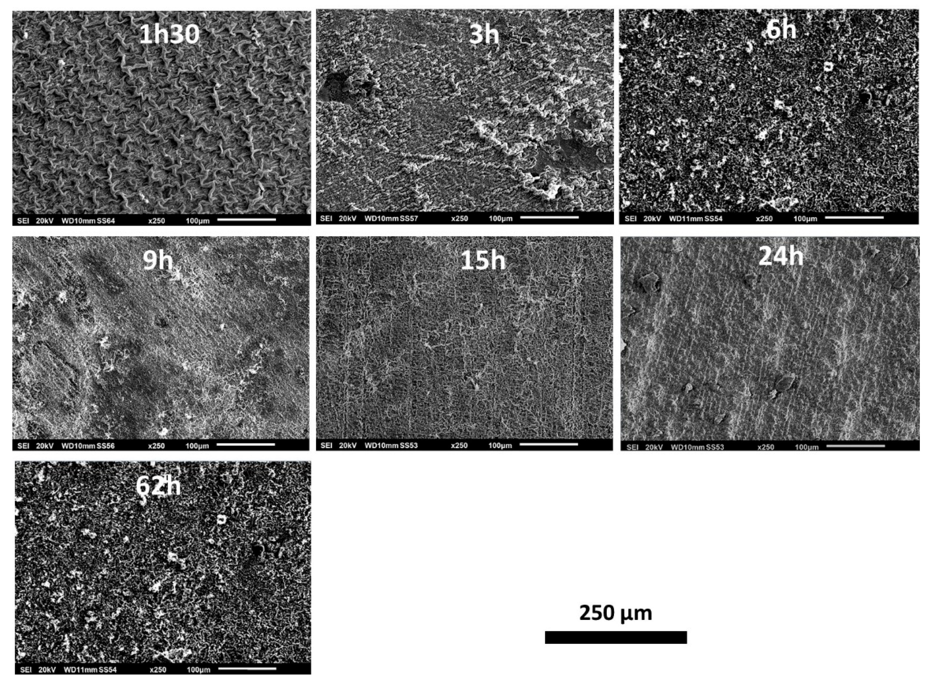 Preprints 120287 g002