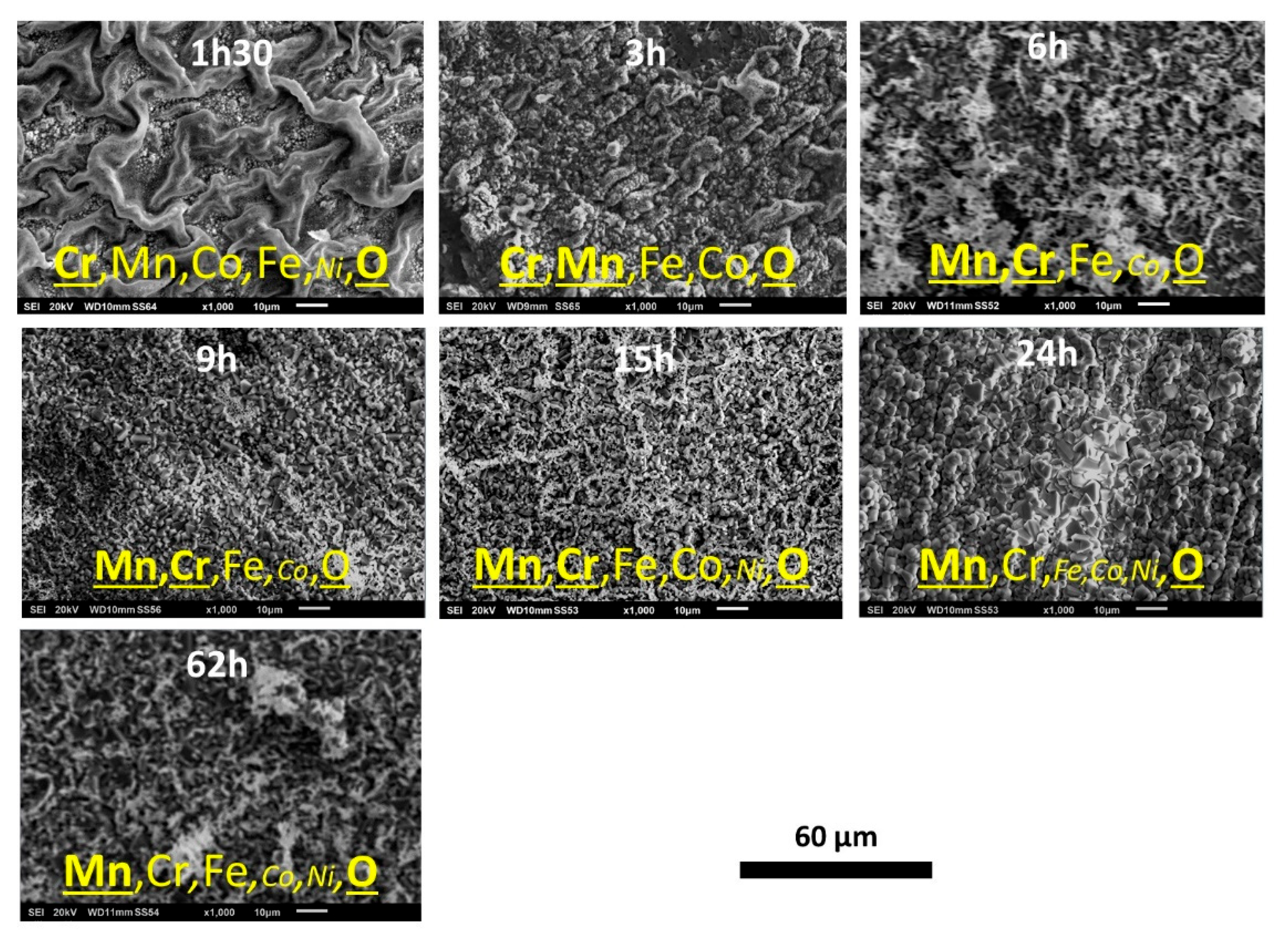 Preprints 120287 g003