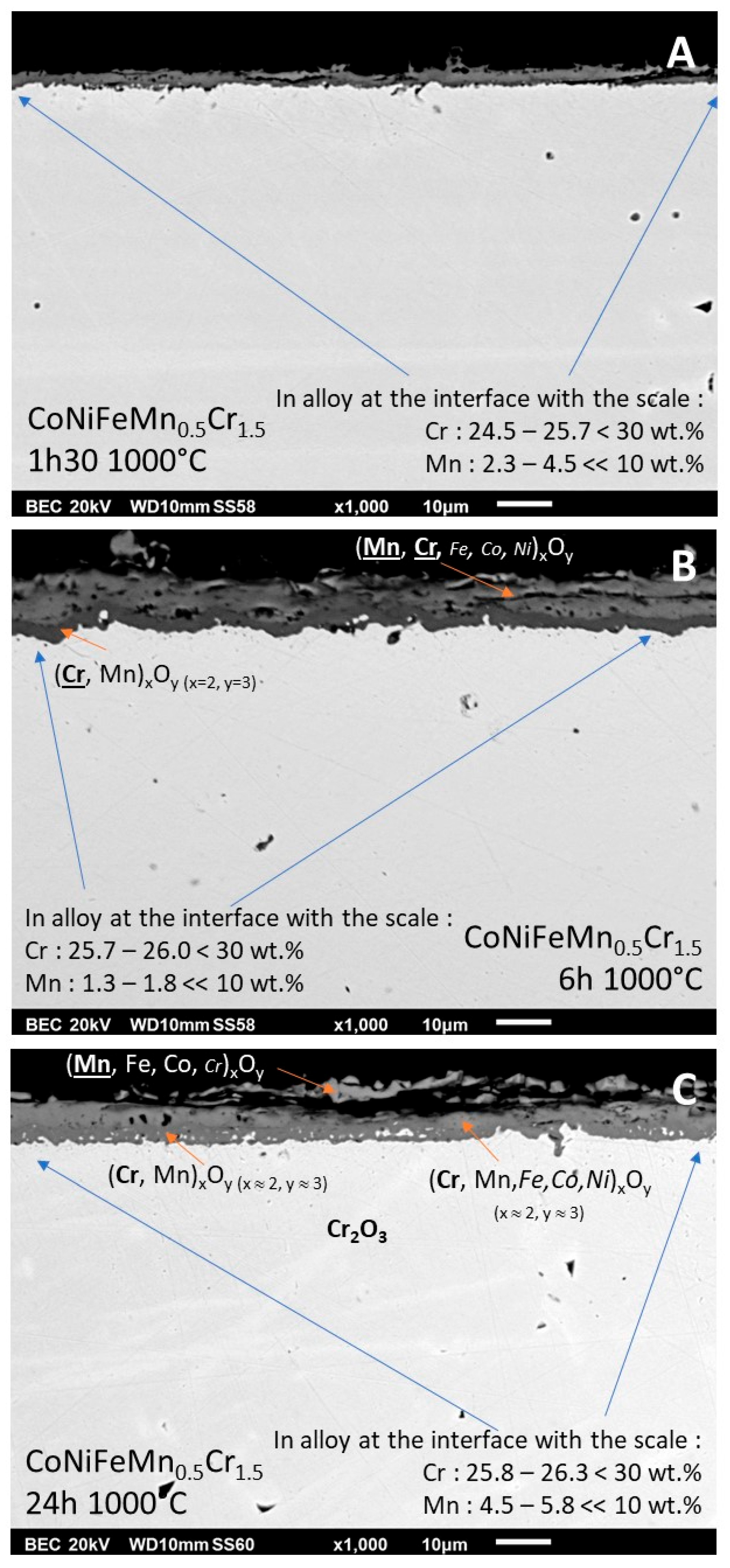 Preprints 120287 g008