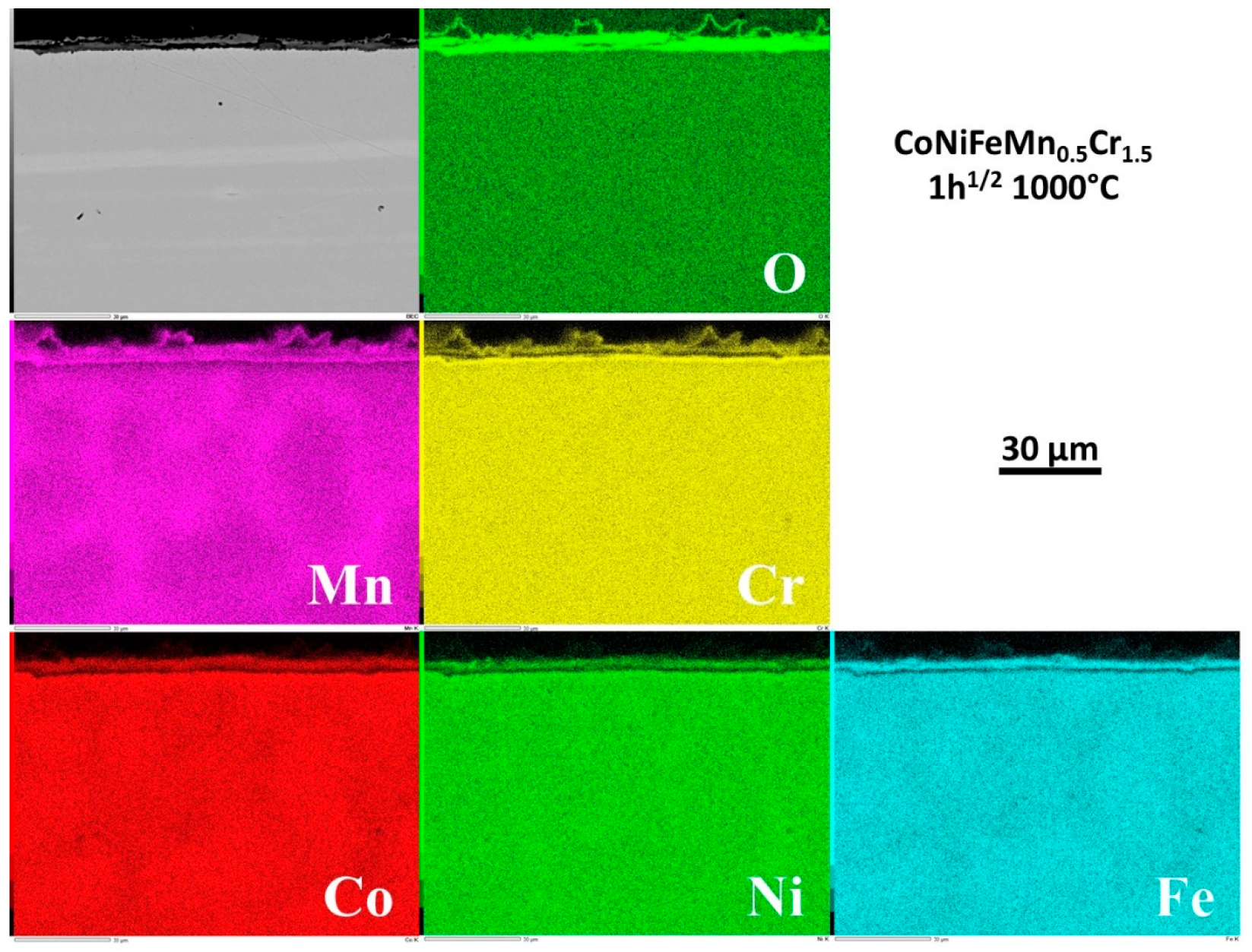 Preprints 120287 g009