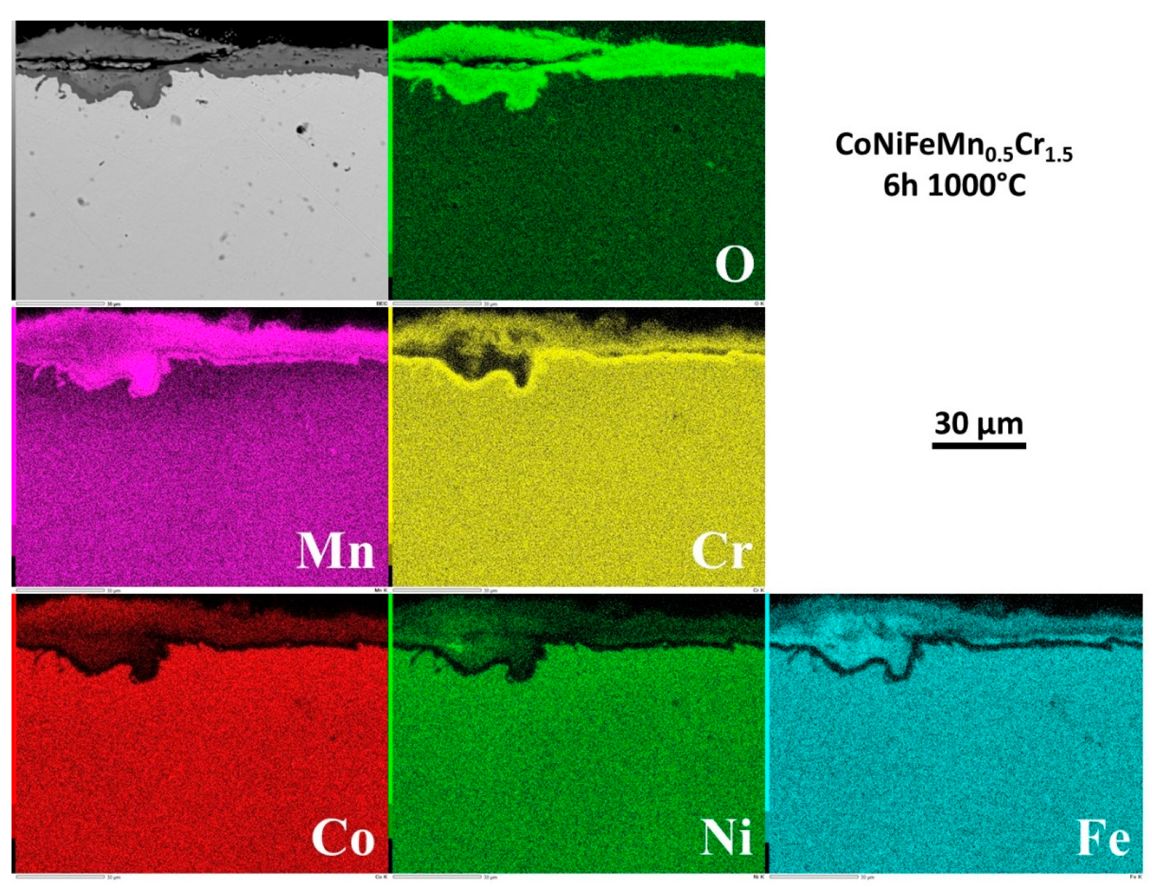 Preprints 120287 g010