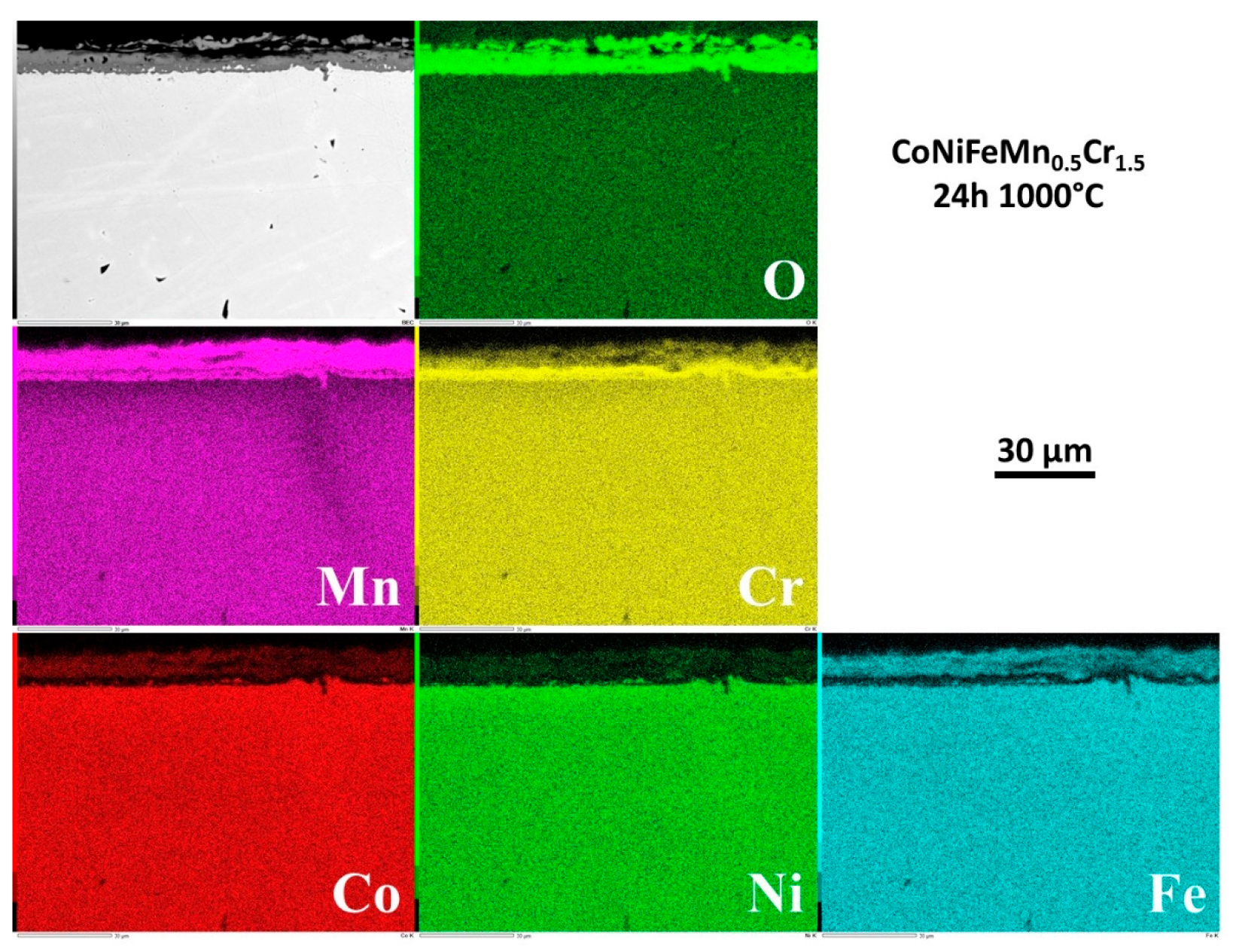 Preprints 120287 g011