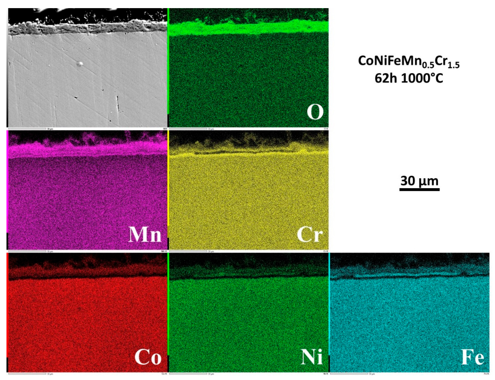 Preprints 120287 g012